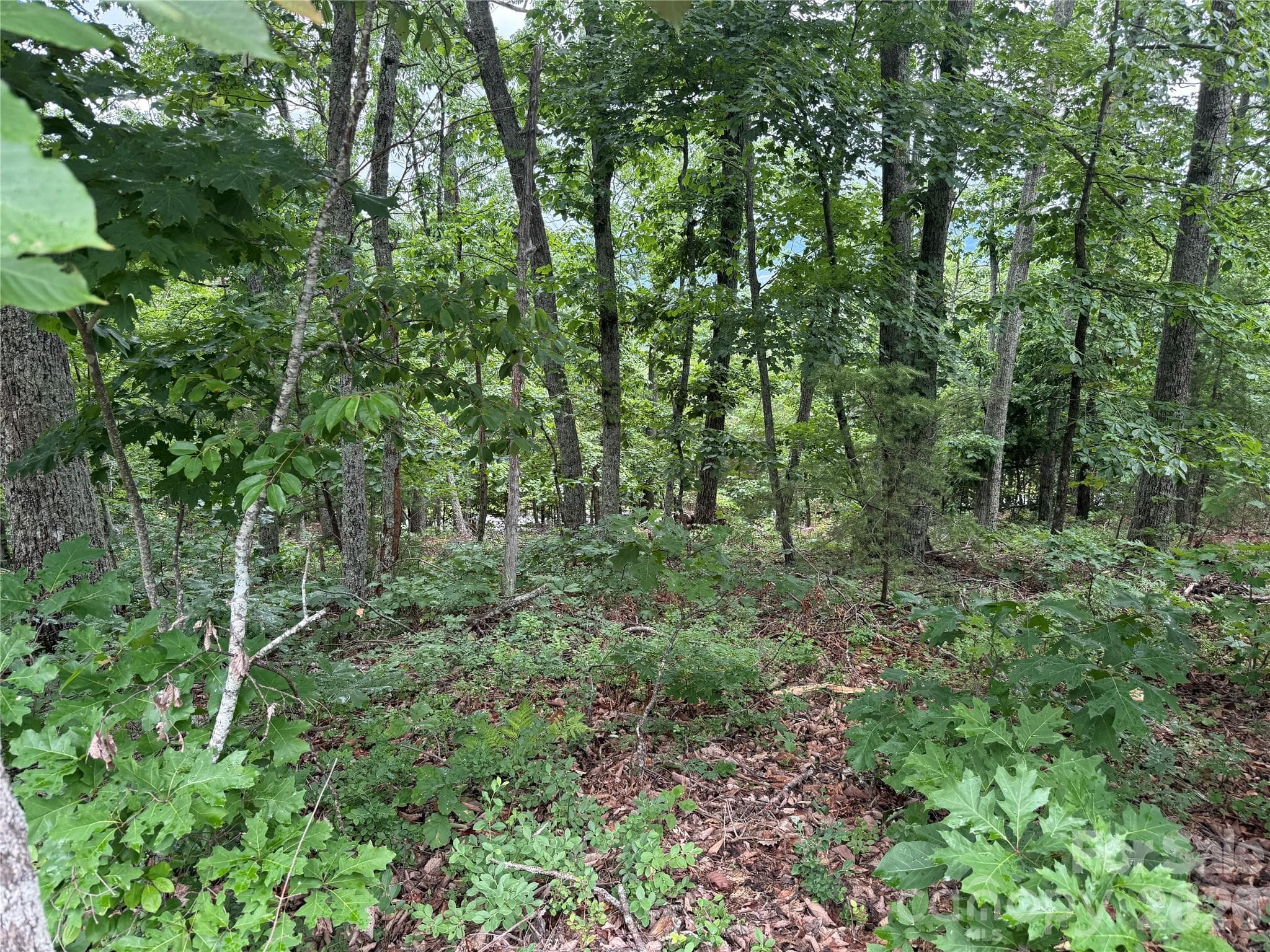 Lot at 0 Arbra Mountain Way, Bostic, photo 2 of 11