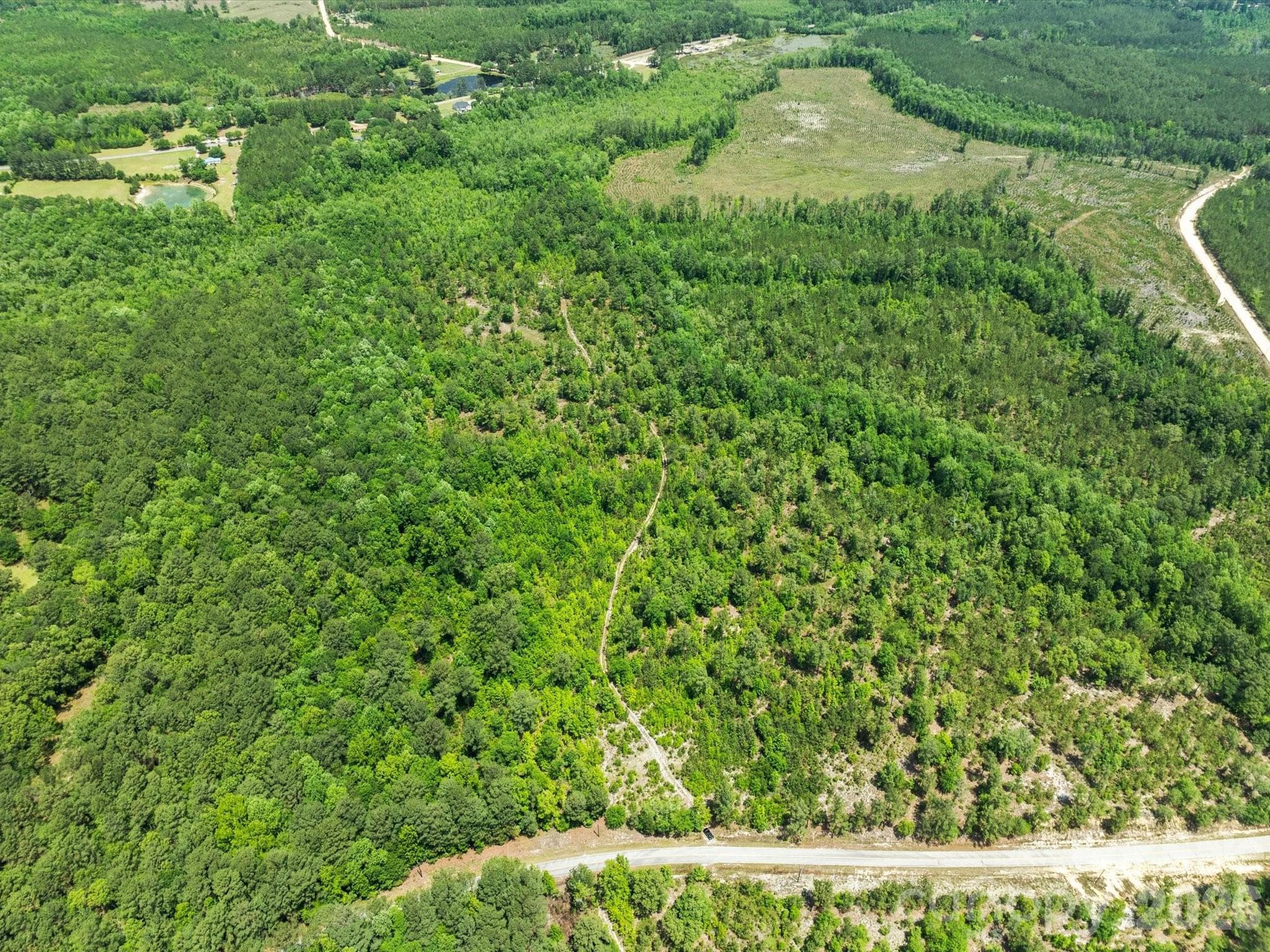 Acreage at 1299 Crowley Road, Patrick, photo 3 of 6