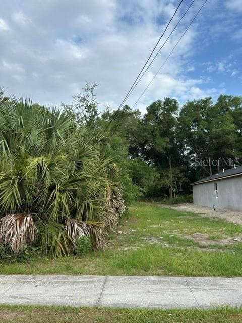 PALMETTO ST