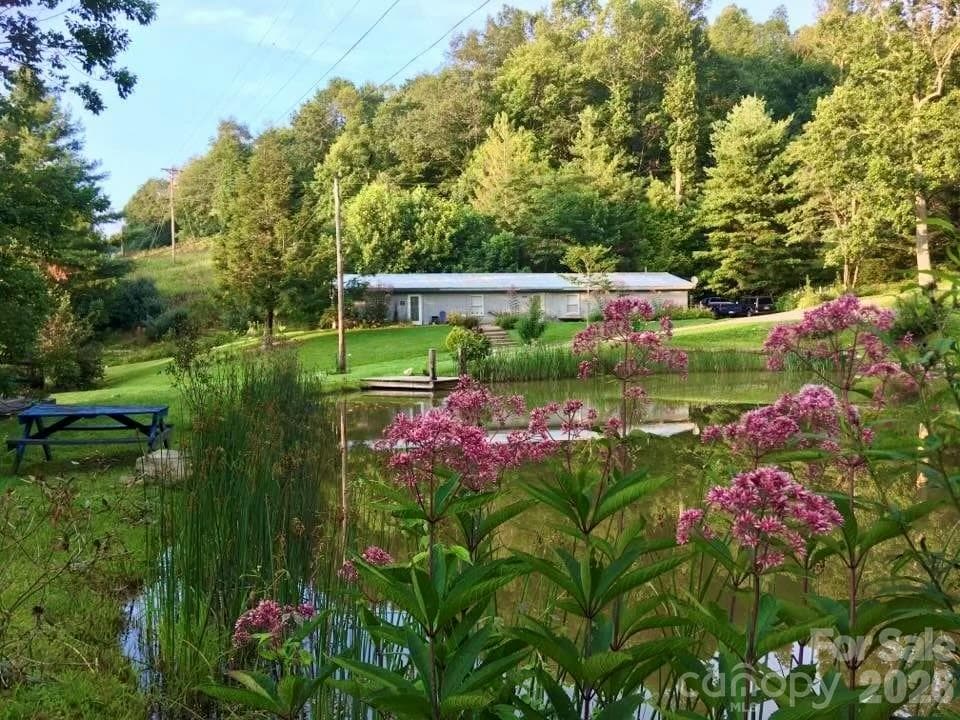 Special Purpose at 65 Blue Ridge Gem Mine Road, Little Switzerland, photo 5 of 32