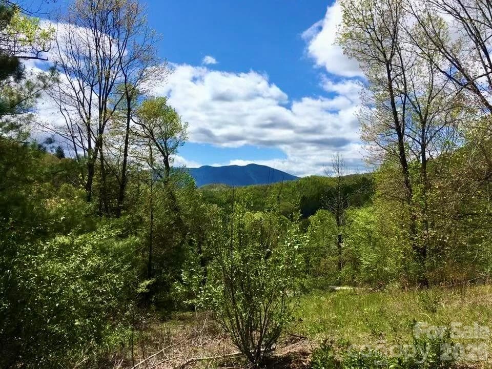 Acreage at 65 Blue Ridge Gem Mine Road, Little Switzerland, photo 20 of 31