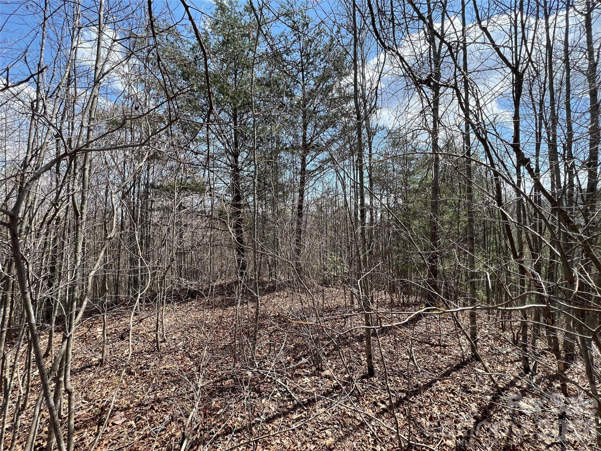 Level build site - 192 Pine Cone Trail, Marshall