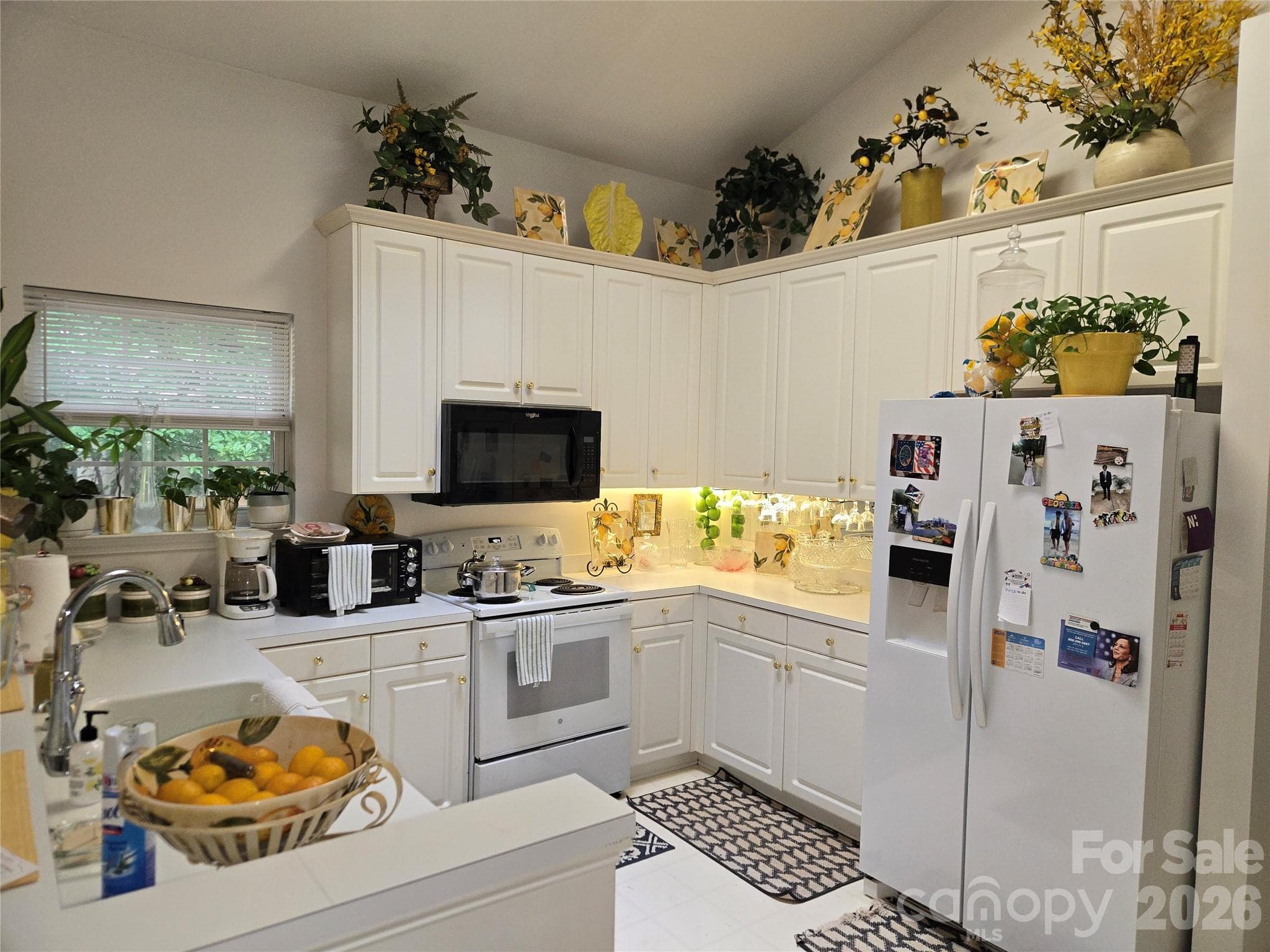 Single Family Residence at 6313 Lily Pad Court, Charlotte, photo 3 of 15