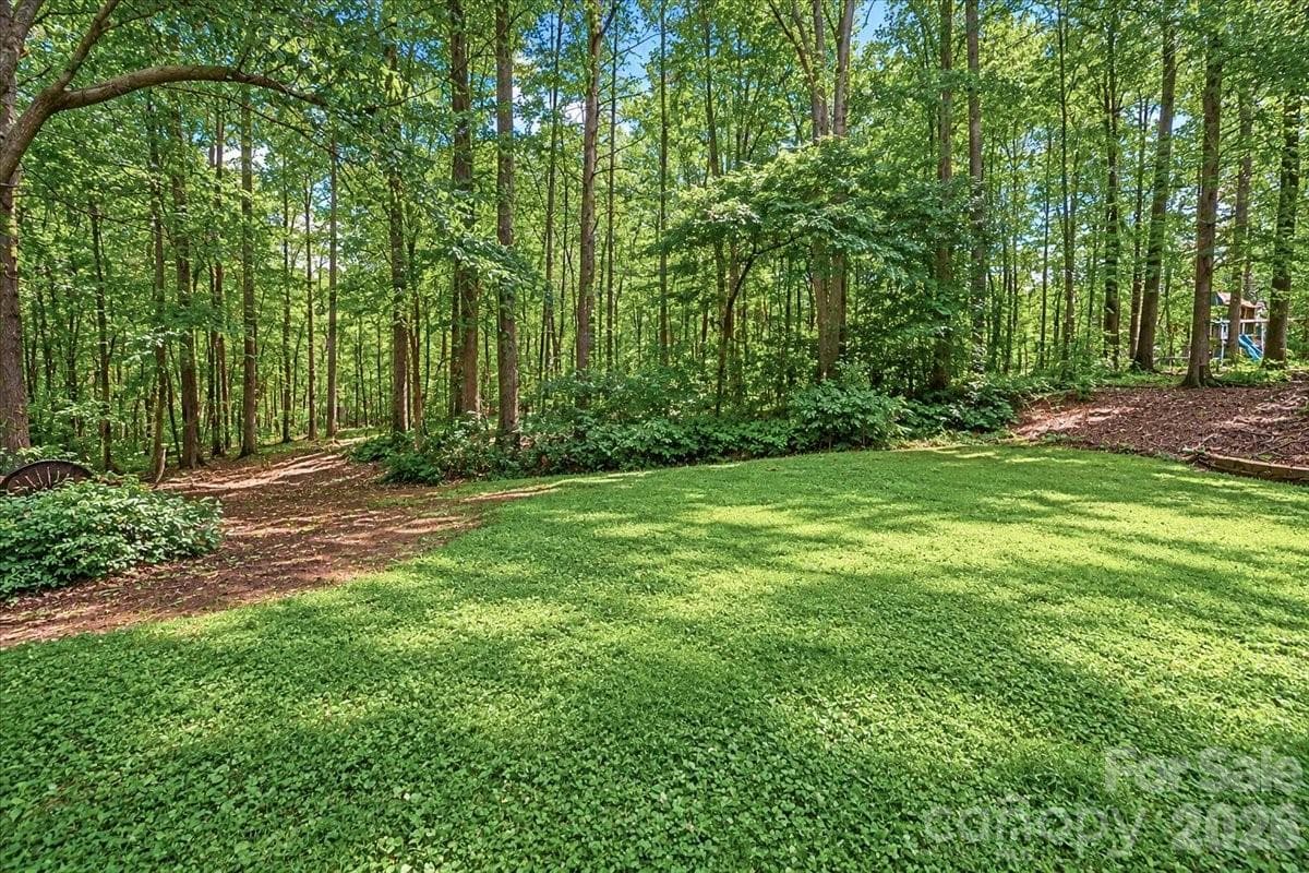 Backyard View - 311 N Deerfield Circle, Salisbury