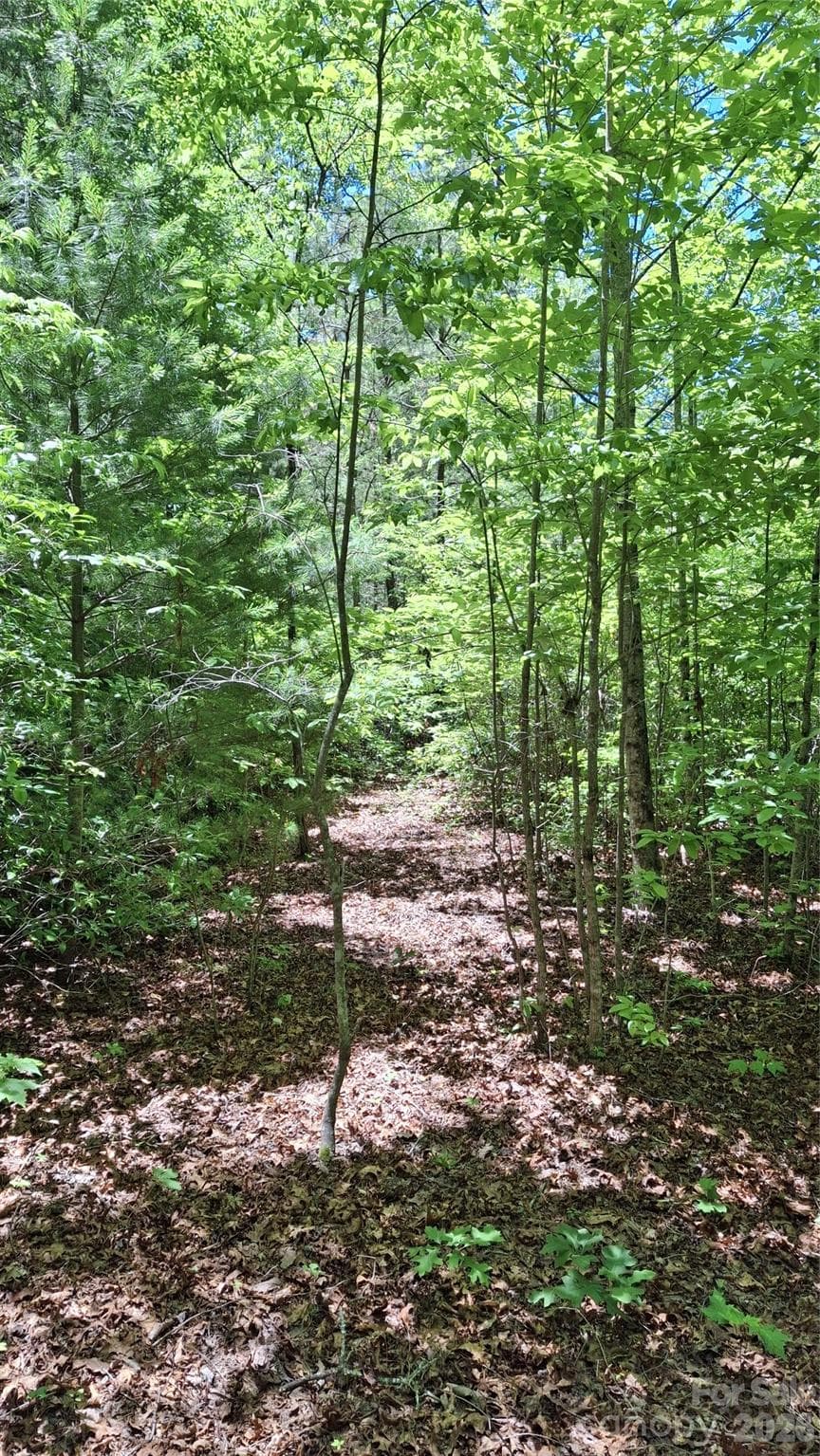 driveway - Sylva