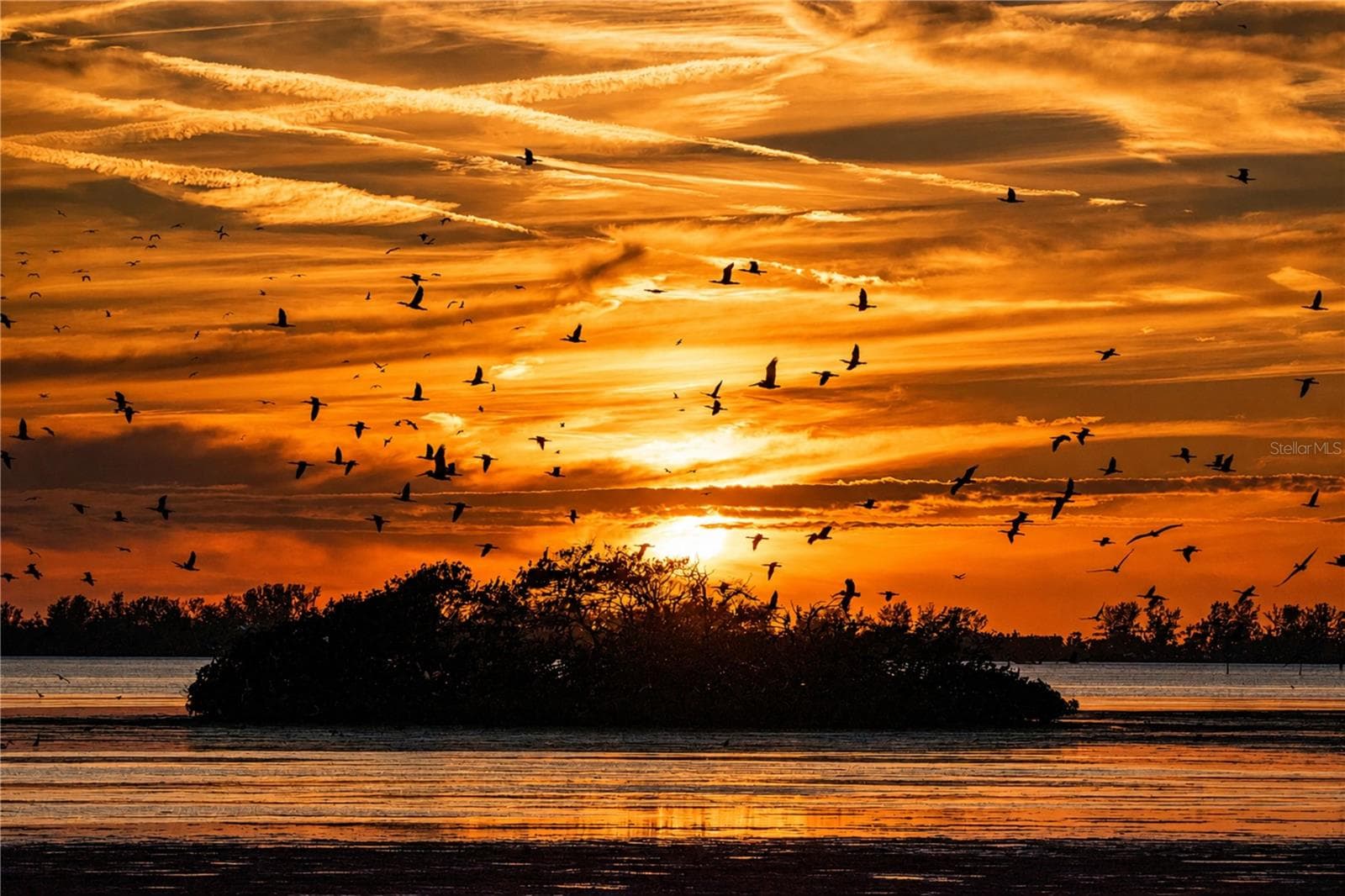Mt Vernon on Sarasota Bay sunset - 9425 ANDOVER CIR, BRADENTON