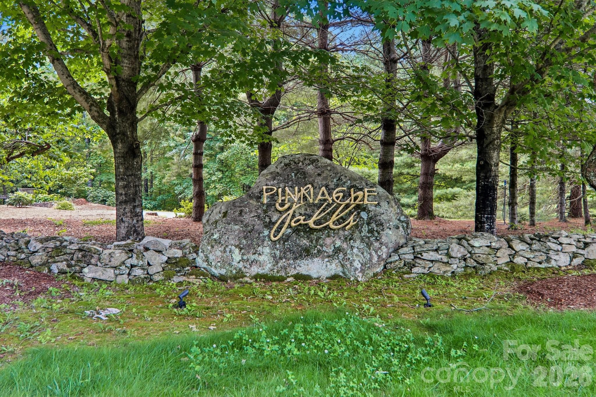 Pinnacle Falls Entrance - 11 Magnolia Branch Drive, Zirconia