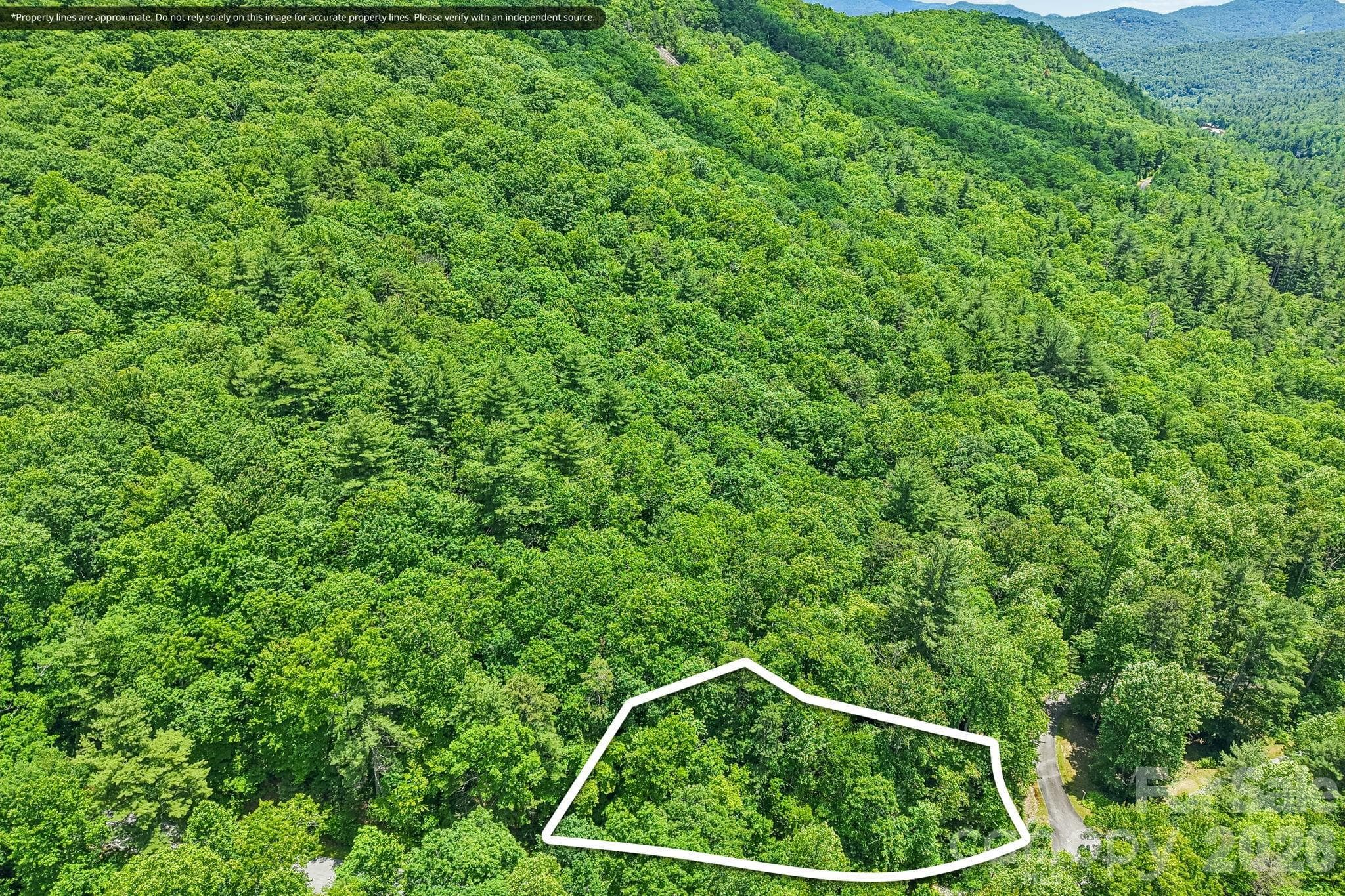 Lot at 11 Magnolia Branch Drive, Zirconia, photo 3 of 26