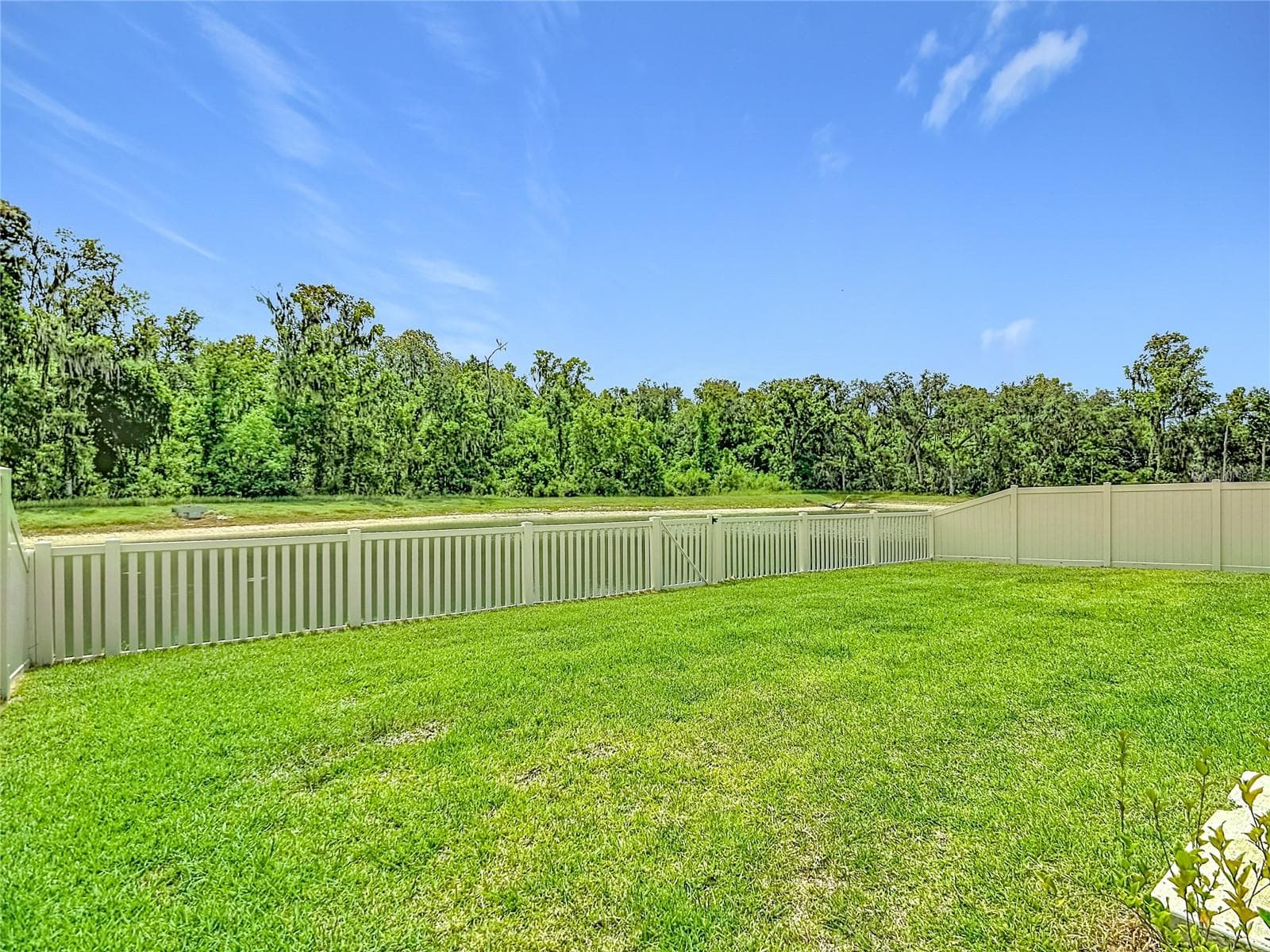 Single Family Residence at 1633 RED LOOP, LAKELAND, photo 43 of 60