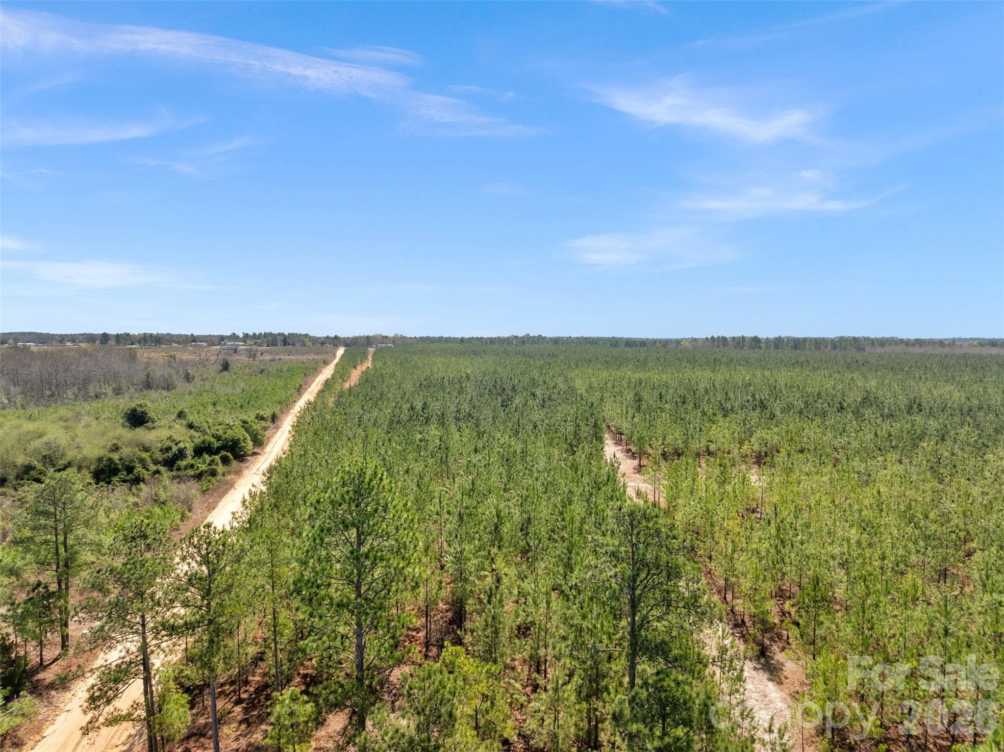 Acreage at 931 Charlie Johnson Road, Kershaw, photo 4 of 35