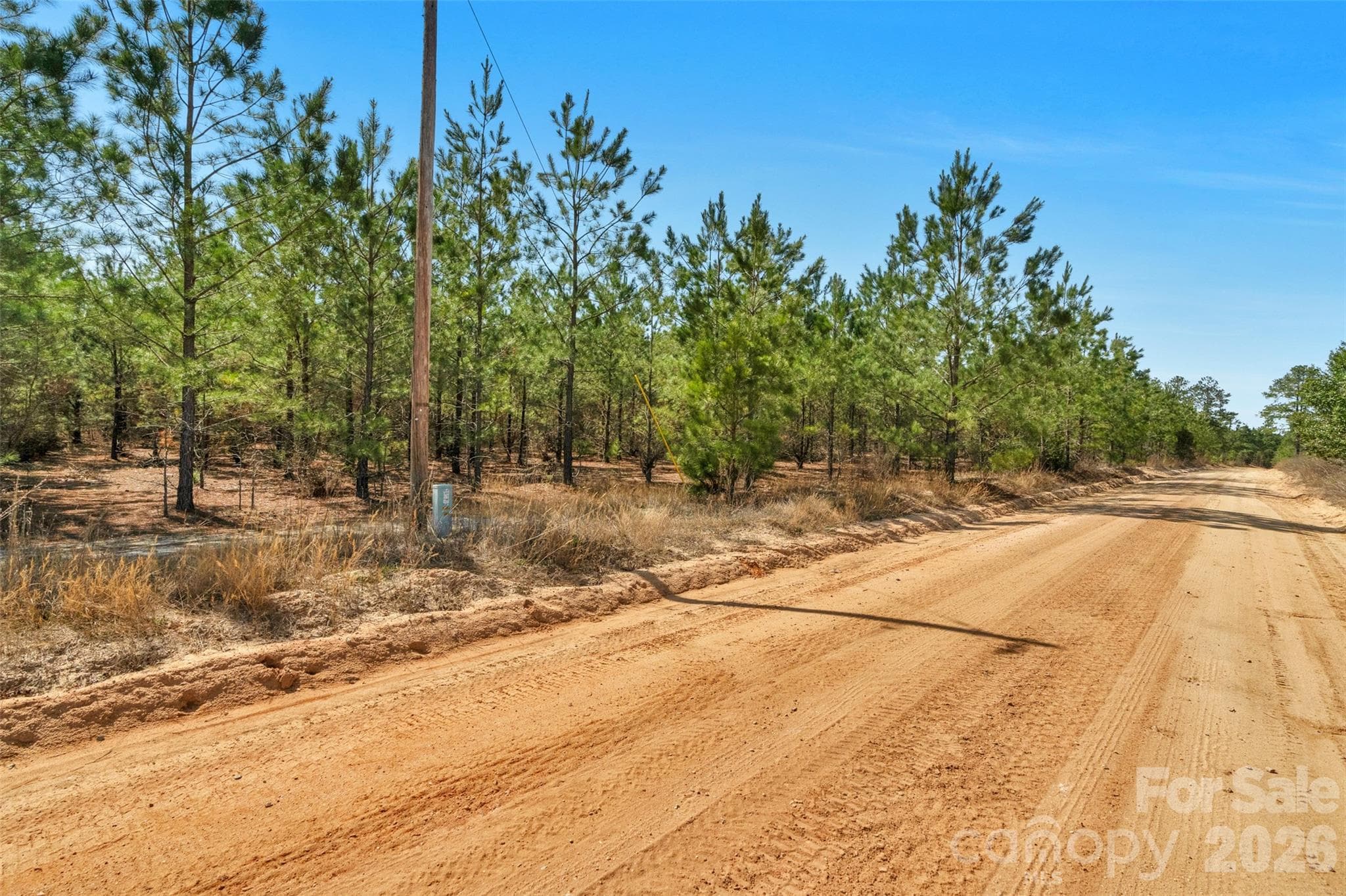 Acreage at 931 Charlie Johnson Road, Kershaw, photo 16 of 35