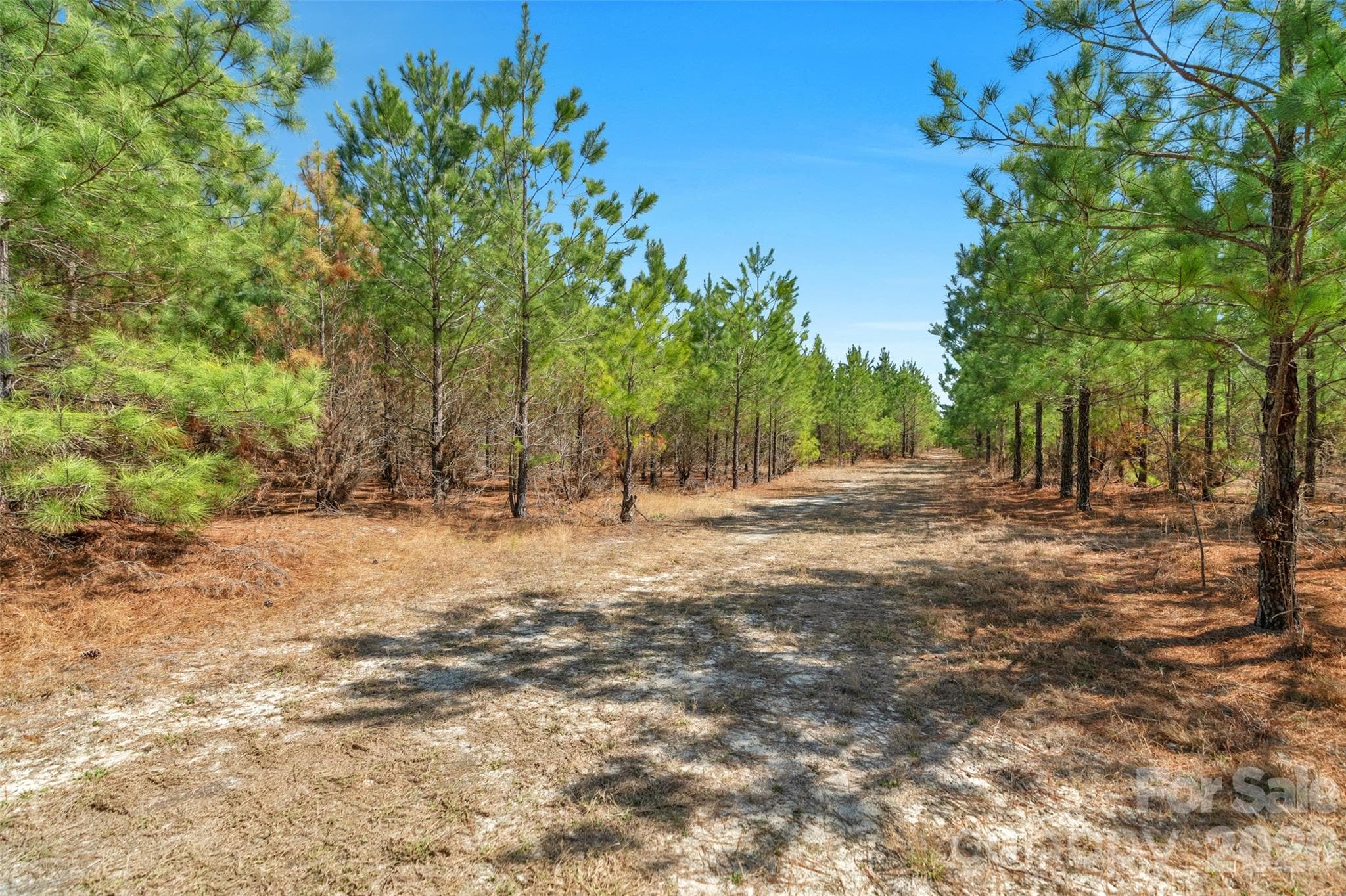 Acreage at 931 Charlie Johnson Road, Kershaw, photo 17 of 35
