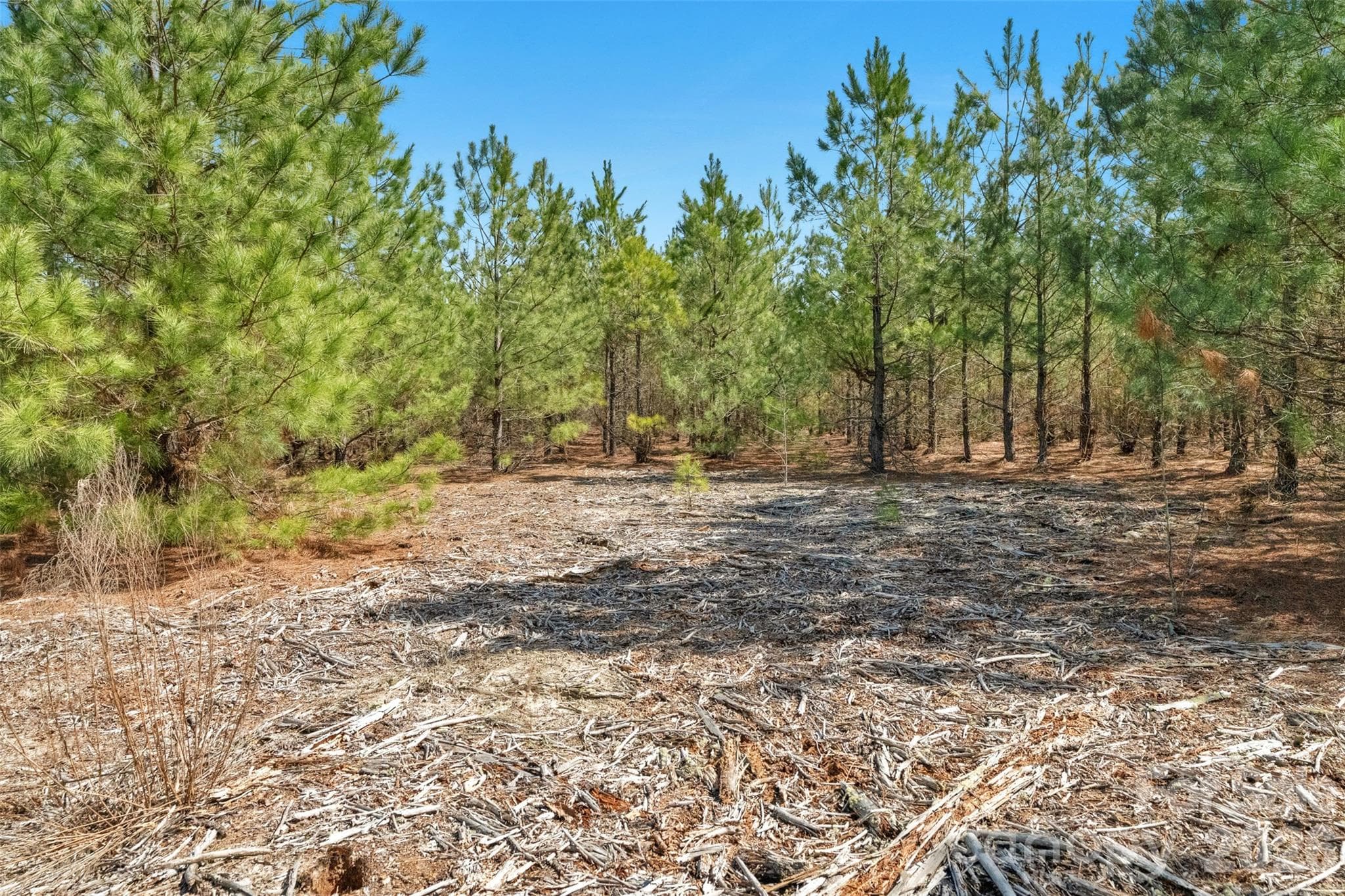 Acreage at 931 Charlie Johnson Road, Kershaw, photo 27 of 35