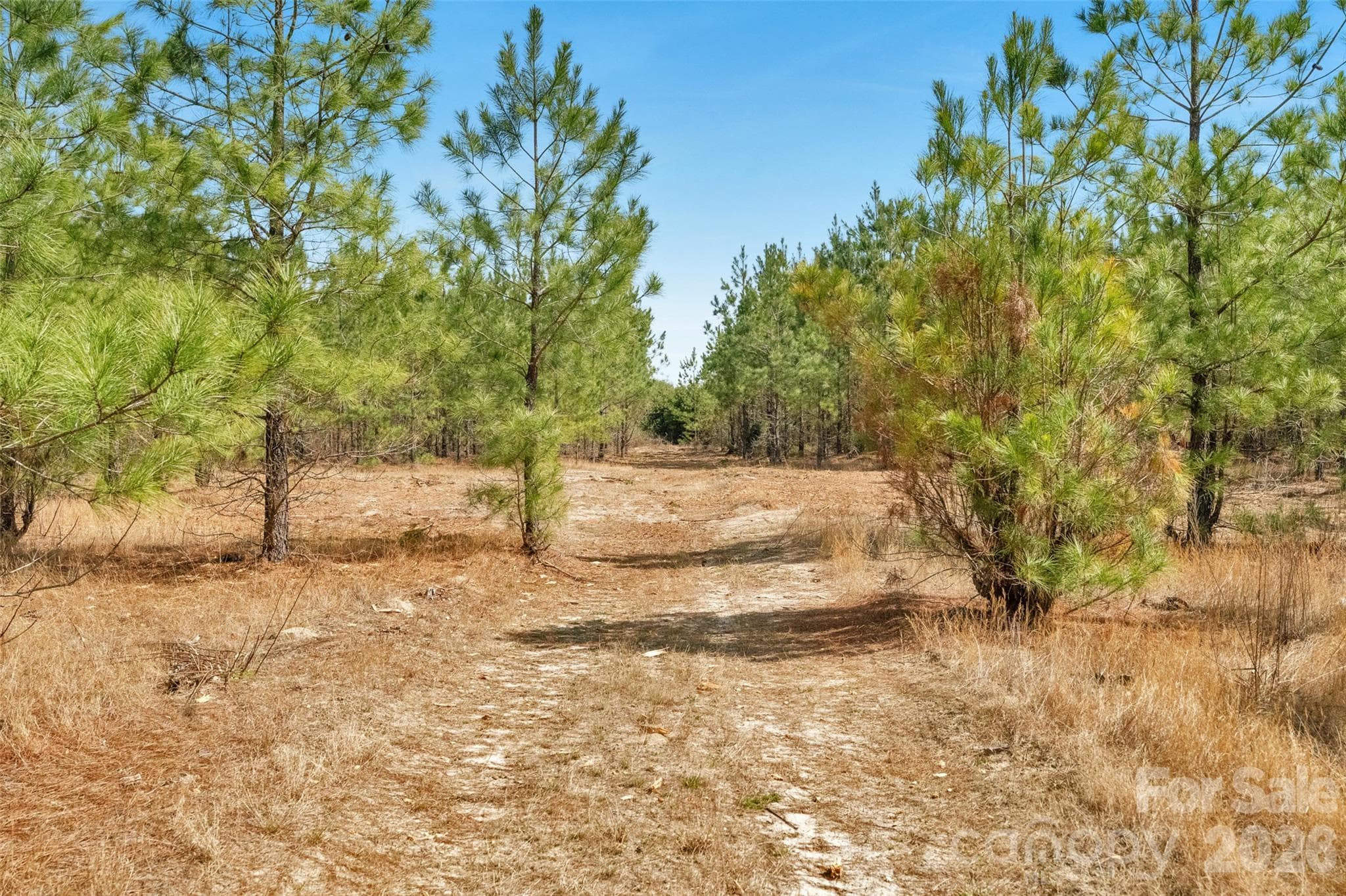 Acreage at 931 Charlie Johnson Road, Kershaw, photo 28 of 35