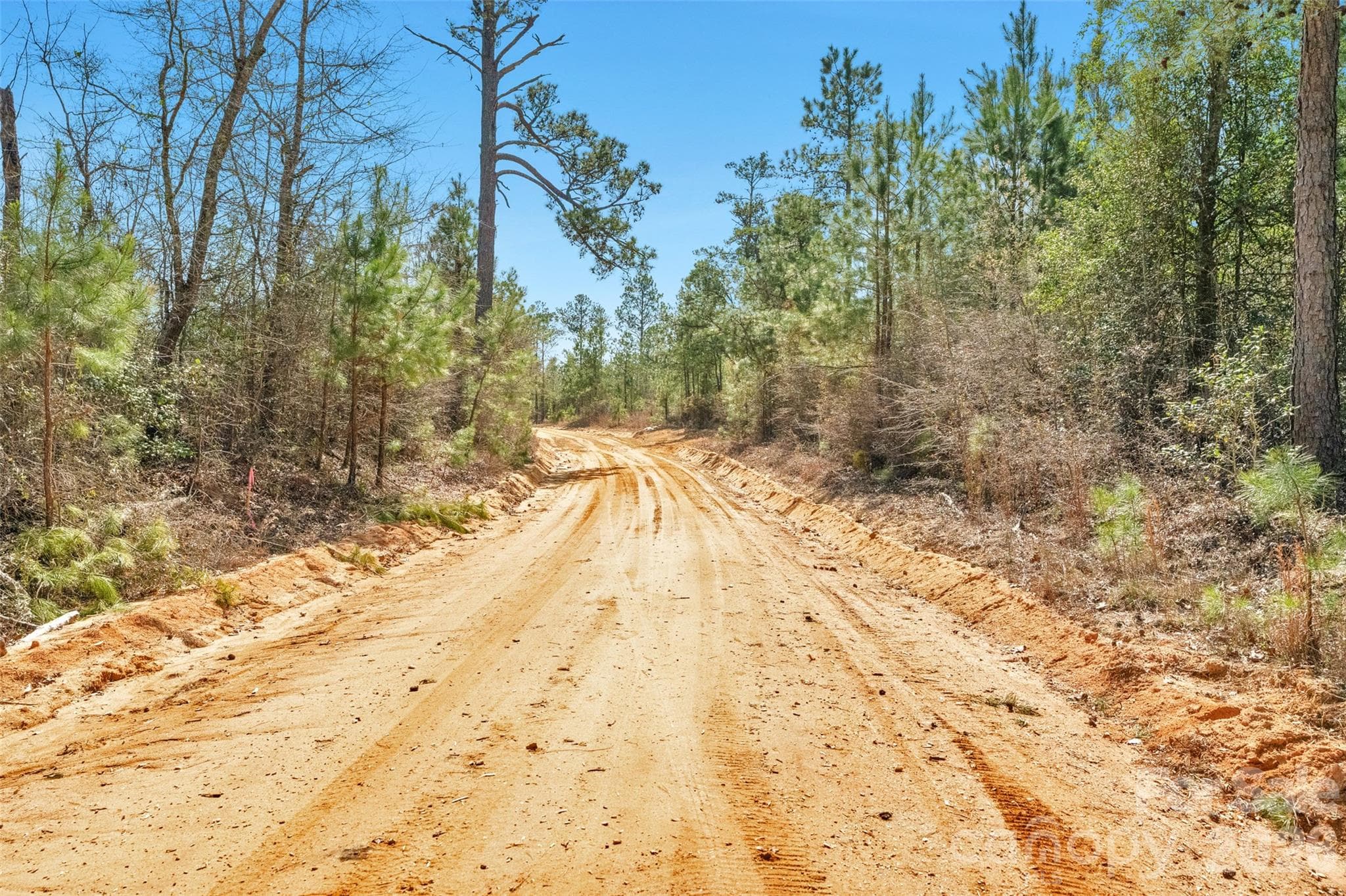Acreage at 931 Charlie Johnson Road, Kershaw, photo 34 of 35