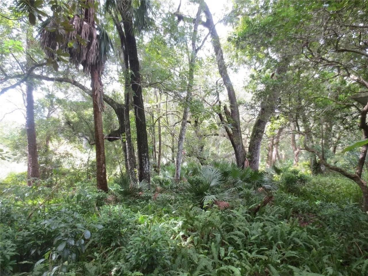 Land at 16865 SE 3RD PL, SILVER SPRINGS, photo 10 of 34