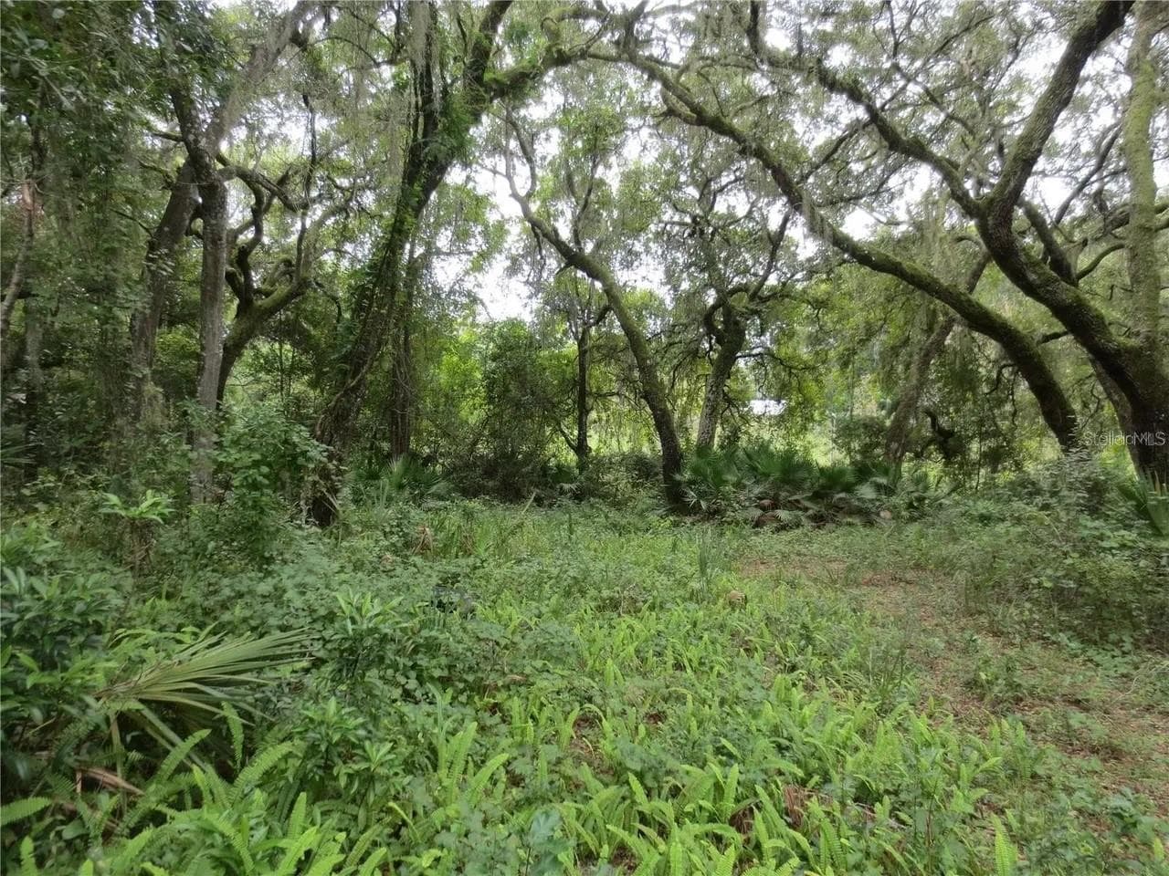 Land at 16865 SE 3RD PL, SILVER SPRINGS, photo 18 of 34