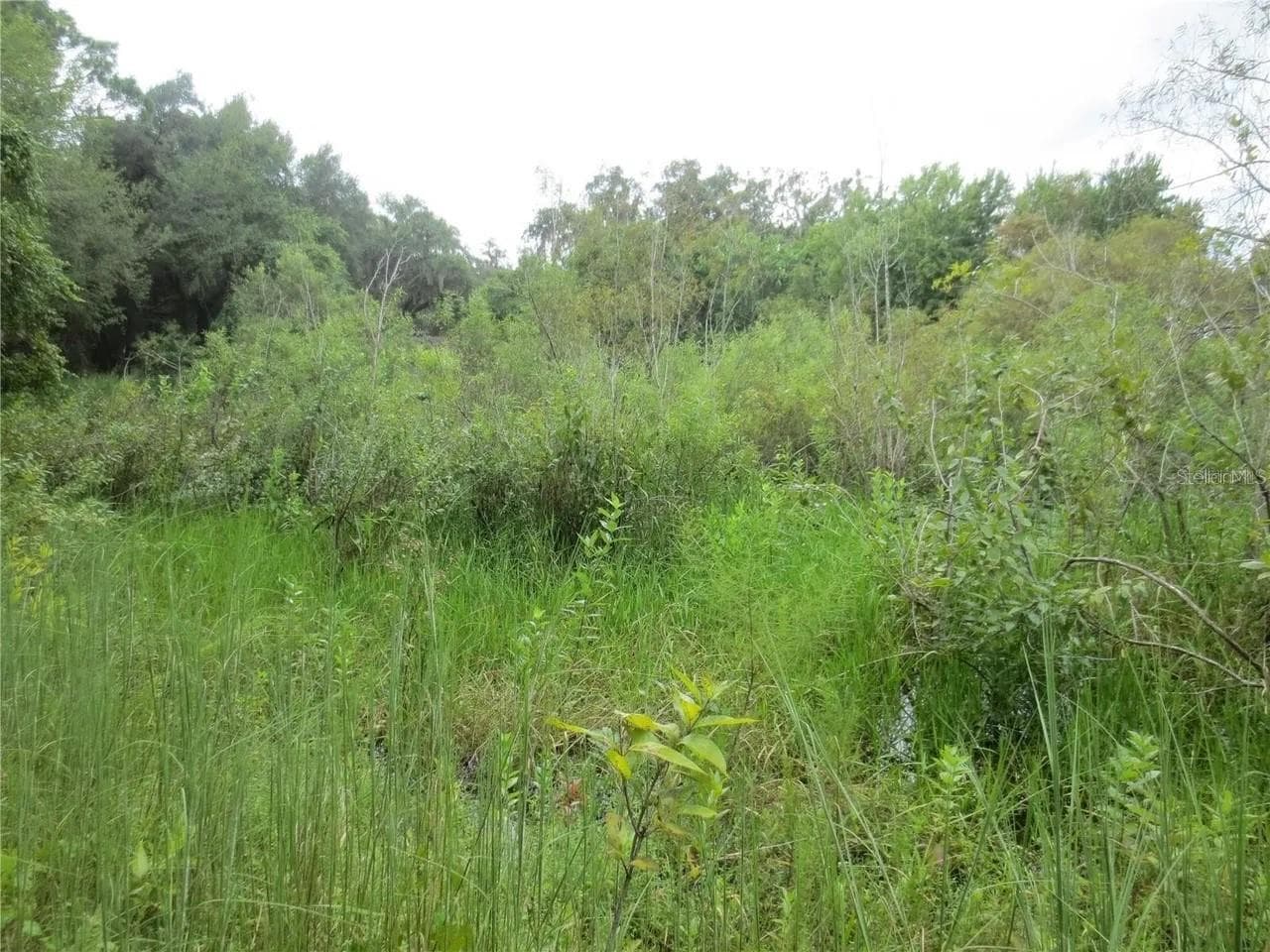 Land at 16865 SE 3RD PL, SILVER SPRINGS, photo 23 of 34