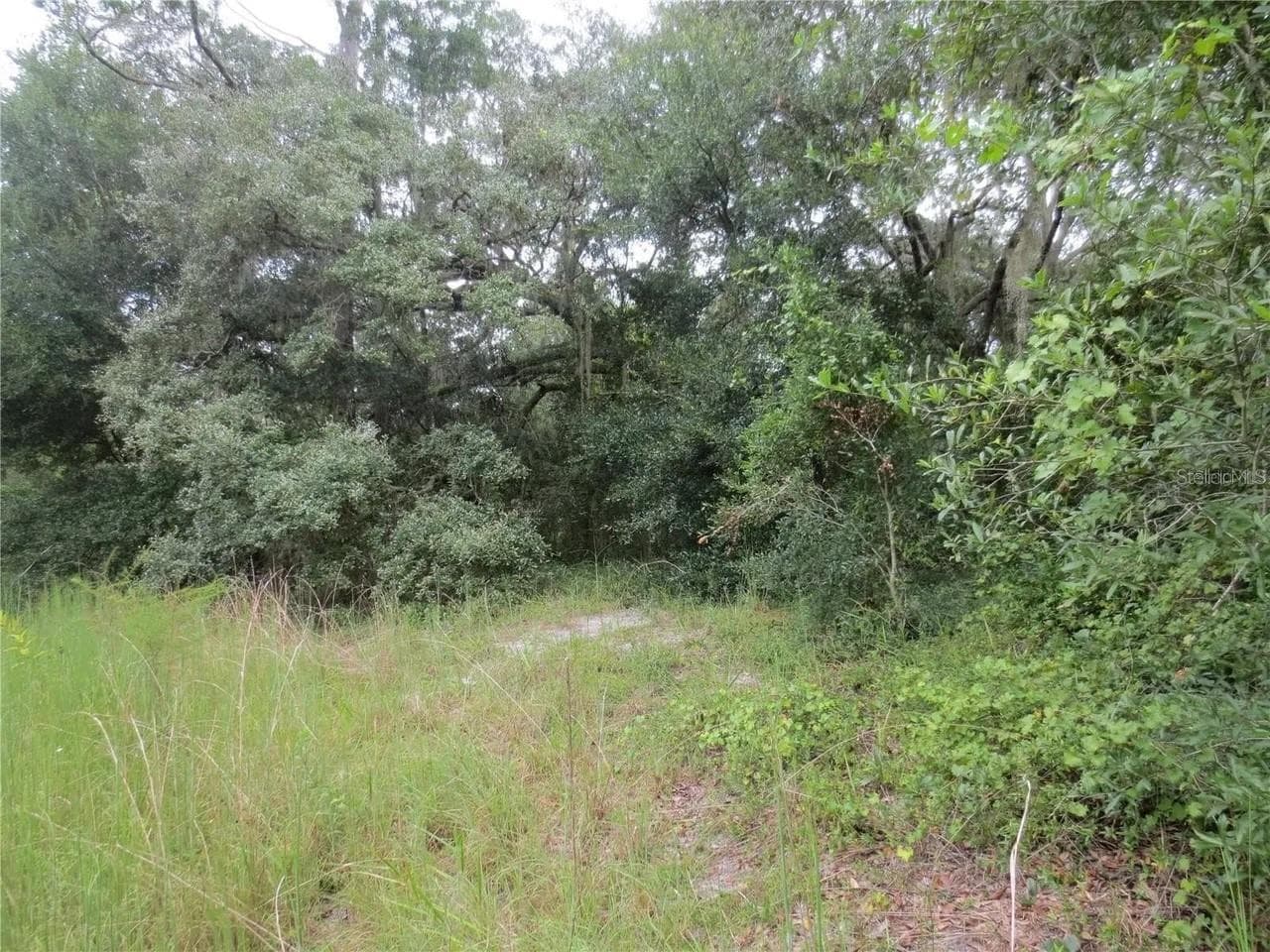 Land at 16865 SE 3RD PL, SILVER SPRINGS, photo 24 of 34