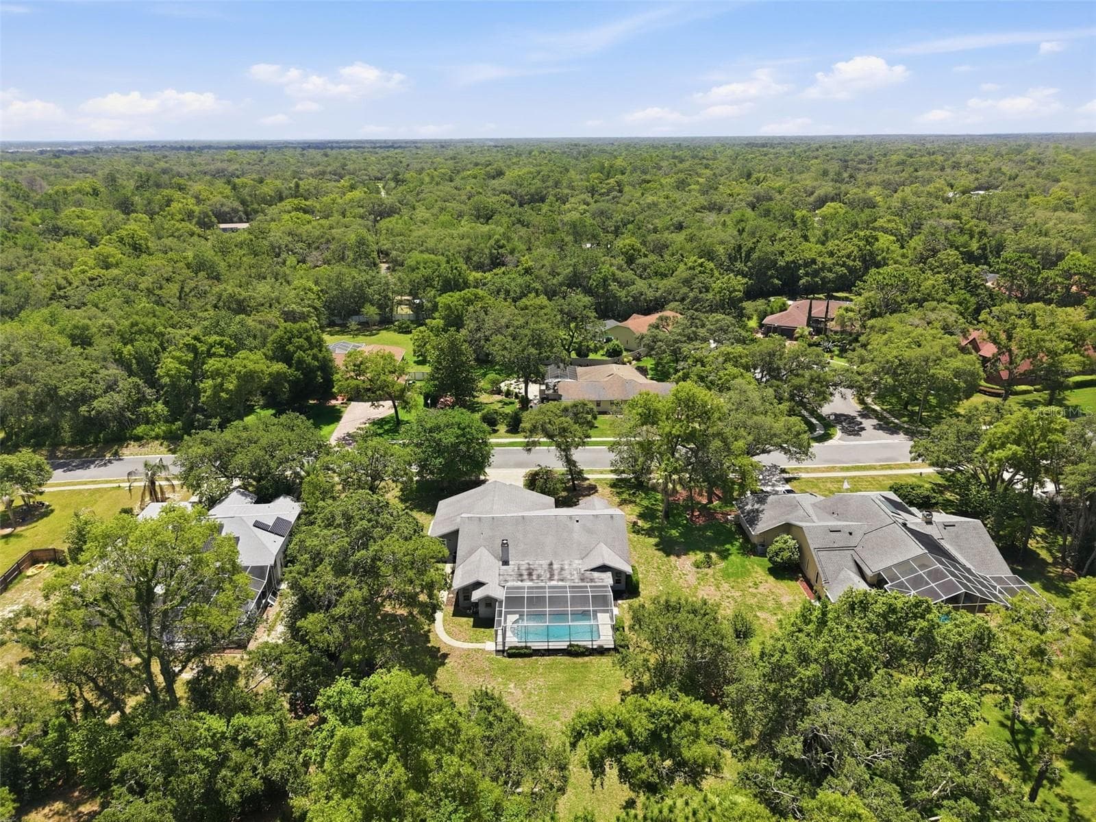 Single Family Residence at 18451 WINDING OAKS BLVD, HUDSON, photo 45 of 62