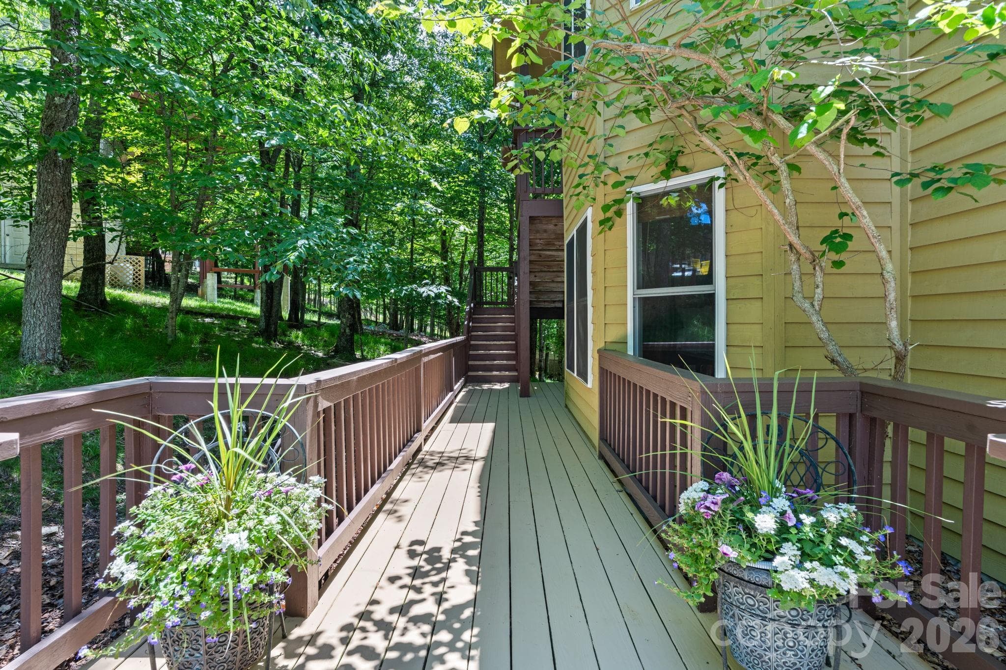 Walkway to dual entrances - 117 Pinnacle Ridge Road, Beech Mountain