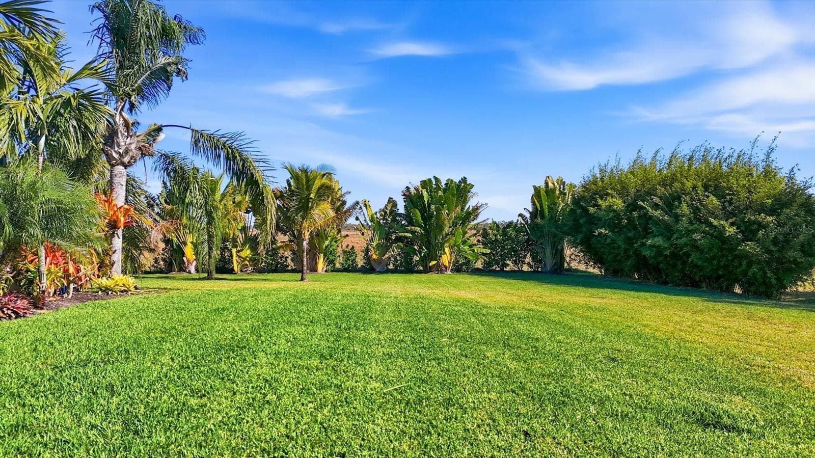 3.53 Acres with Lush Landscaping - 3467 COMPOUND CT, SARASOTA