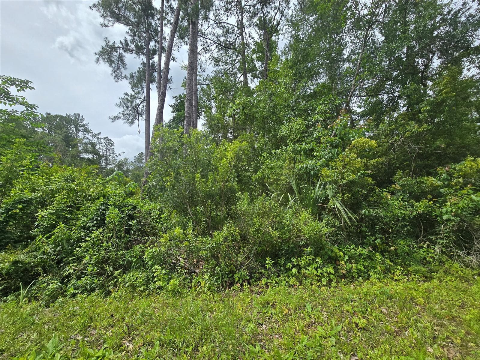 320 SEQUOIA DR