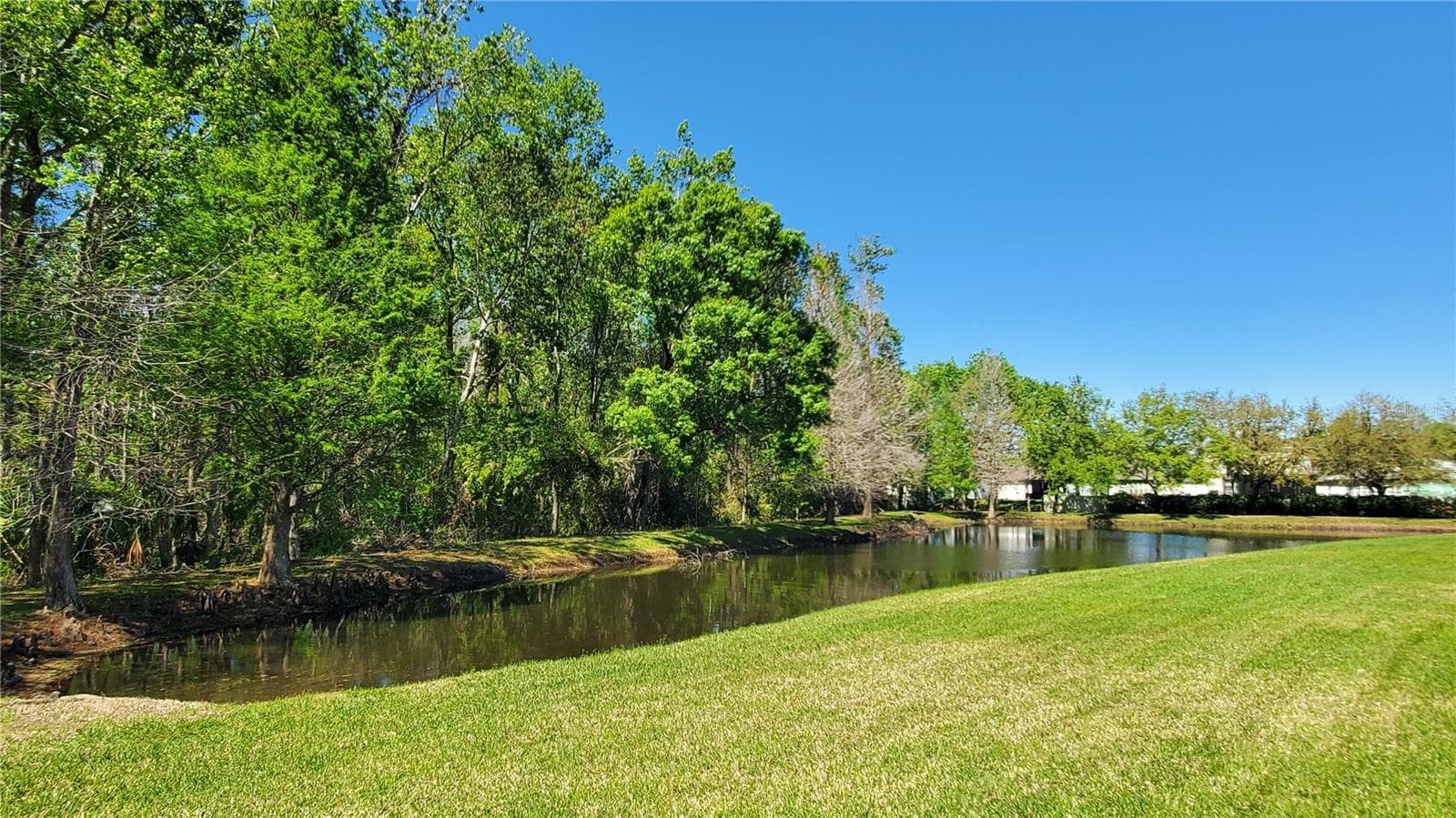 Backyard pond and conservation view - 4535 WINDING RIVER WAY, LAND O LAKES