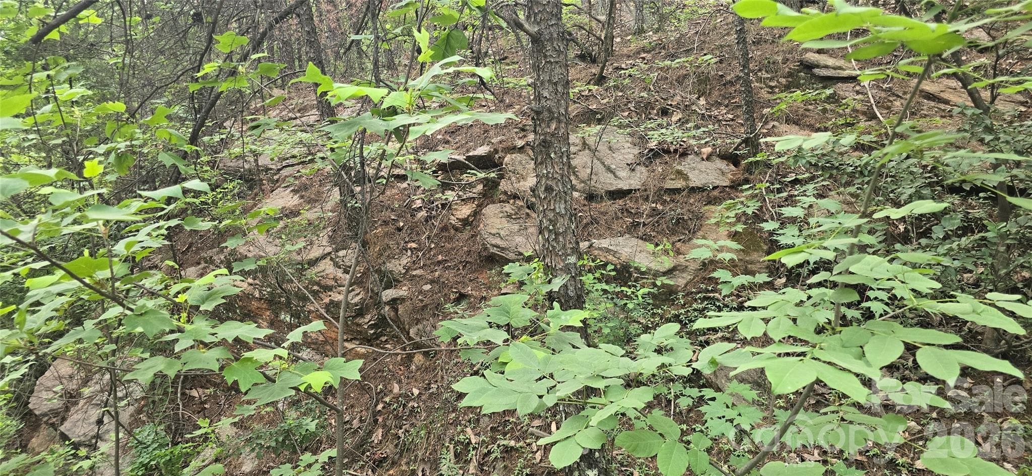 Rock formation on land - 0 Pinnacle Parkway, Union Mills