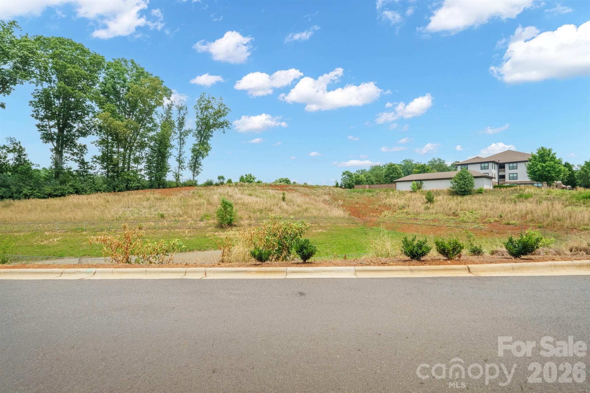Back view (this townhome does not back up to other townhomes or structures, providing peace and privacy) - Charlotte