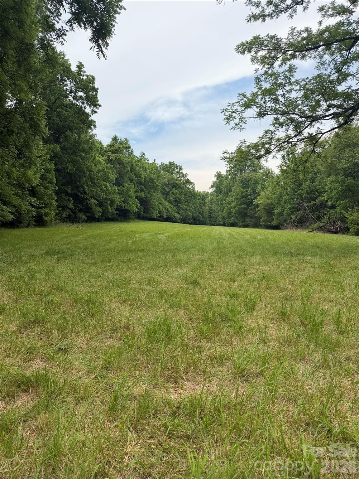 Lot at 3539 Parker Padgett Road, Old Fort, photo 4 of 5