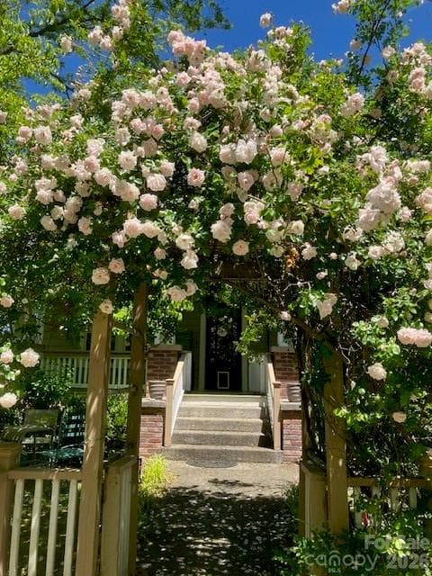 Spring roses at 333 Church st. - 33 Church Street, Weaverville