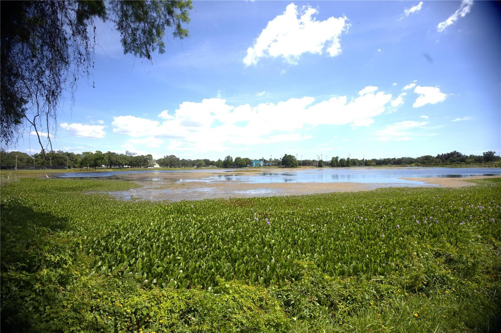 Single Family Residence at 915 DEMPSEY ST, CLEARWATER, photo 8 of 28