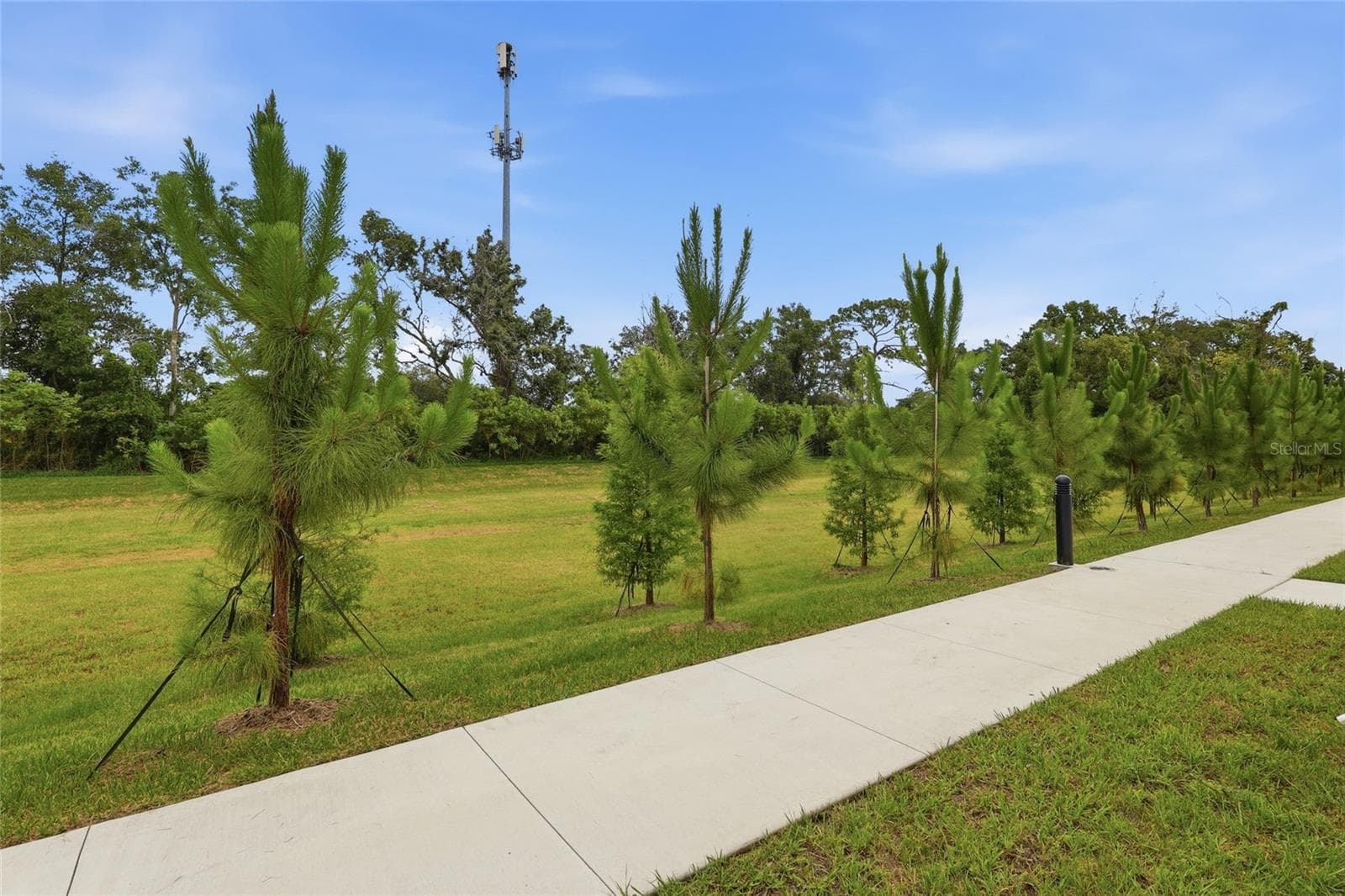 Townhouse at 4369 CAMBIO GARDENS CT, TAMPA, photo 24 of 25