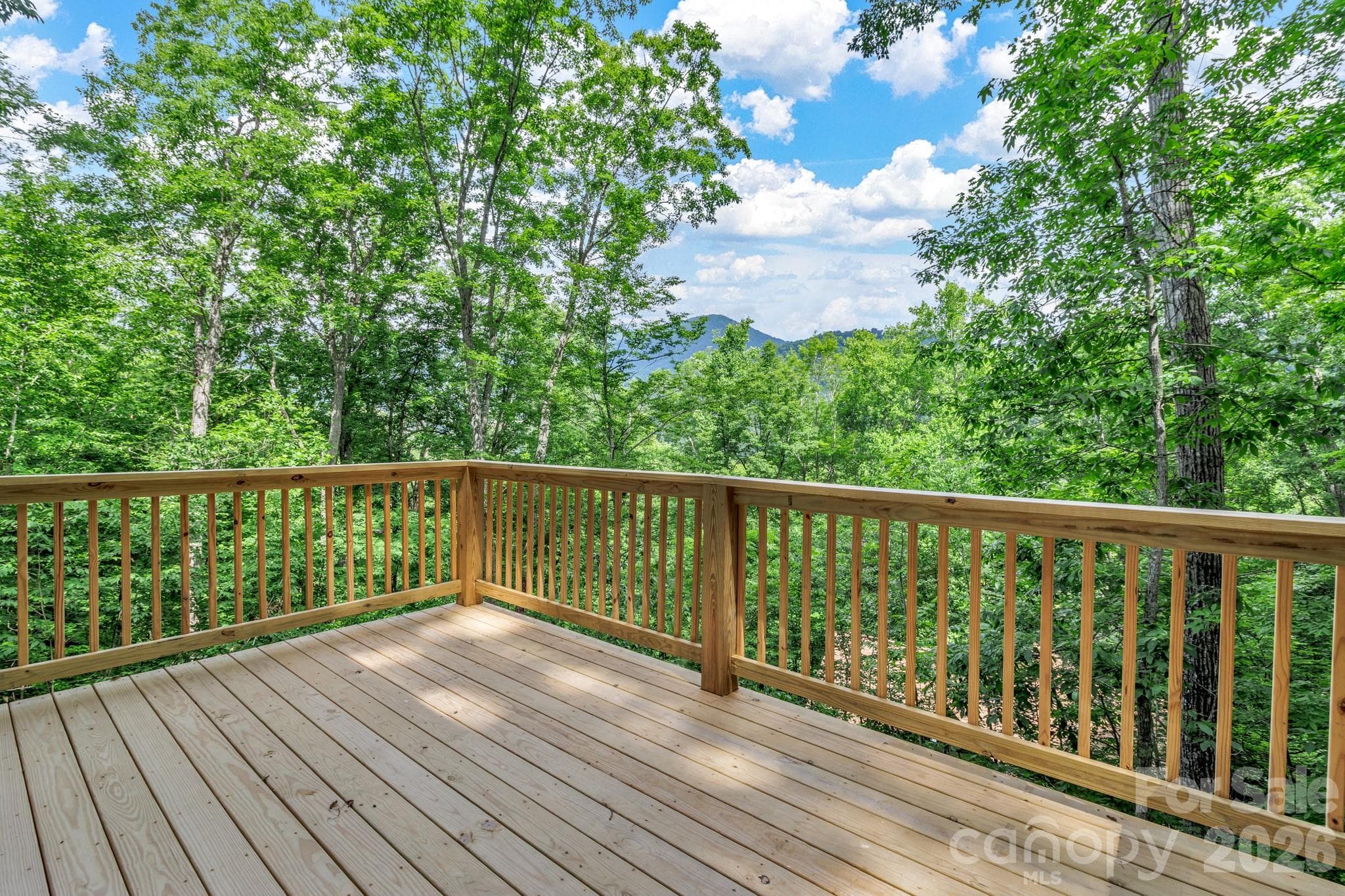 Single Family Residence at 50 Sleeping Bear Ridge, Maggie Valley, photo 31 of 47