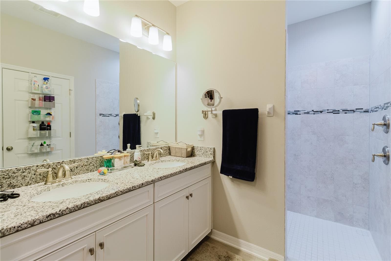 Single Family Residence at 17871 CORTES CREEK BLVD, SPRING HILL, photo 36 of 82