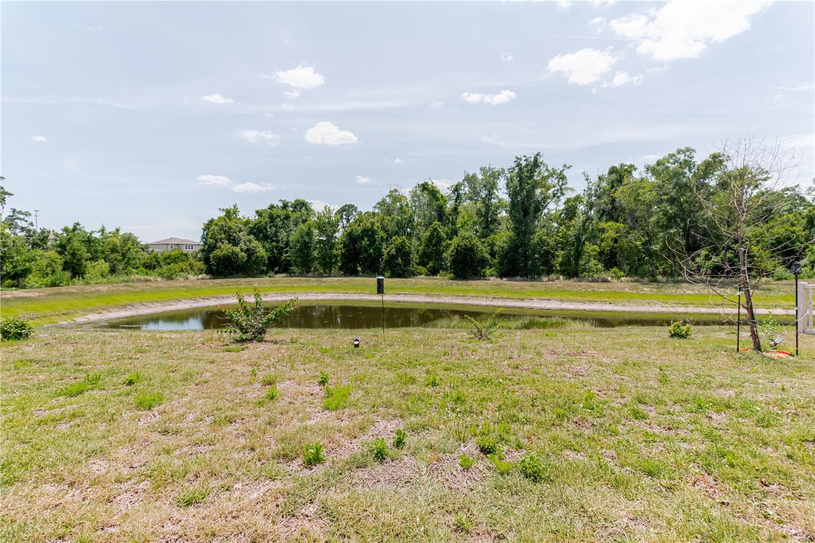 Single Family Residence at 17871 CORTES CREEK BLVD, SPRING HILL, photo 62 of 82