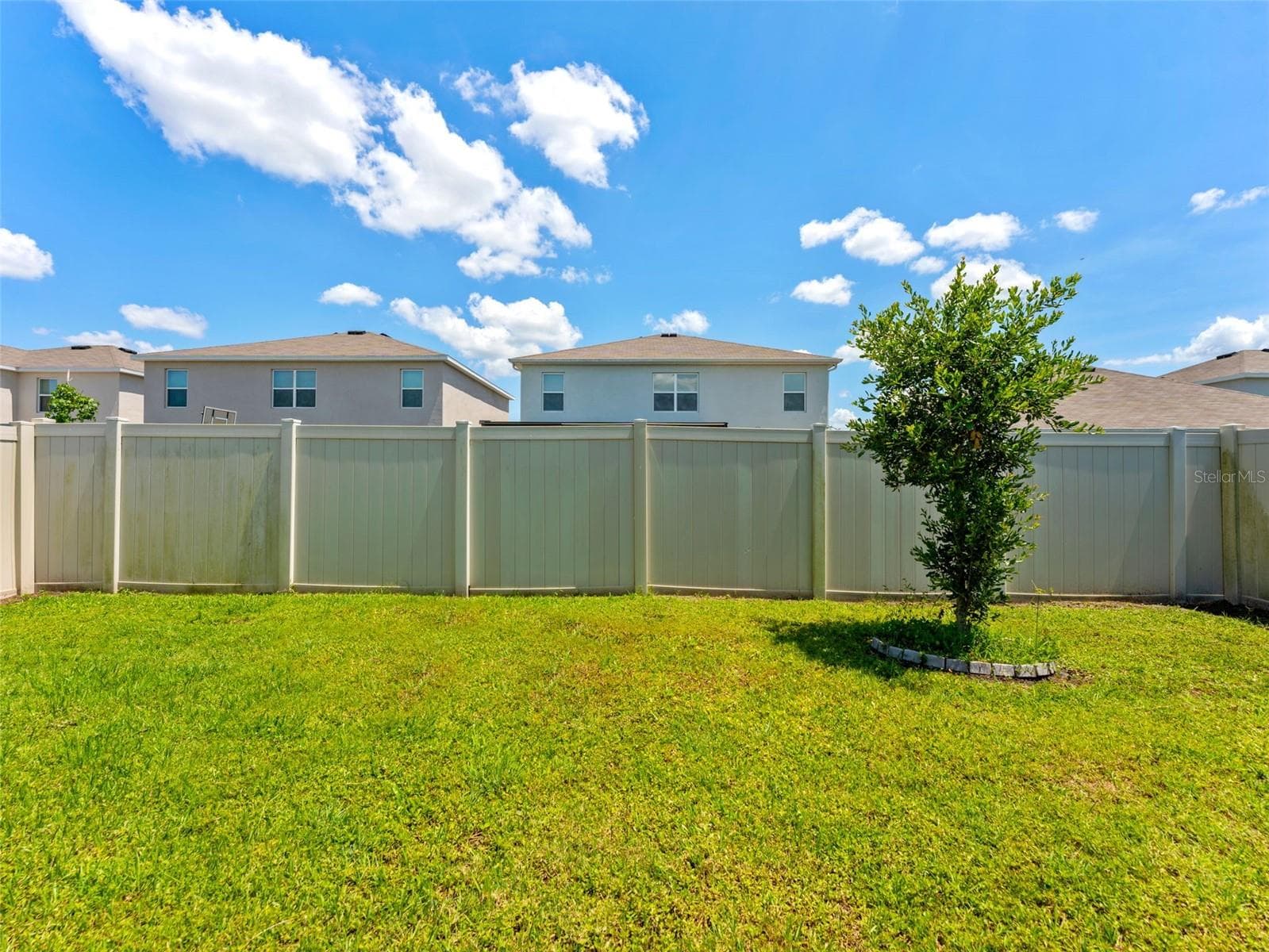 Fully fenced back yard - 5782 HOLLINGWORTH TRL, WESLEY CHAPEL