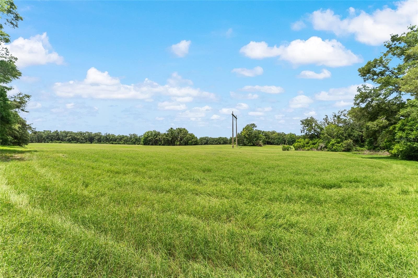 Land at TBD NW STATE ROAD 27/45, NEWBERRY, photo 14 of 41