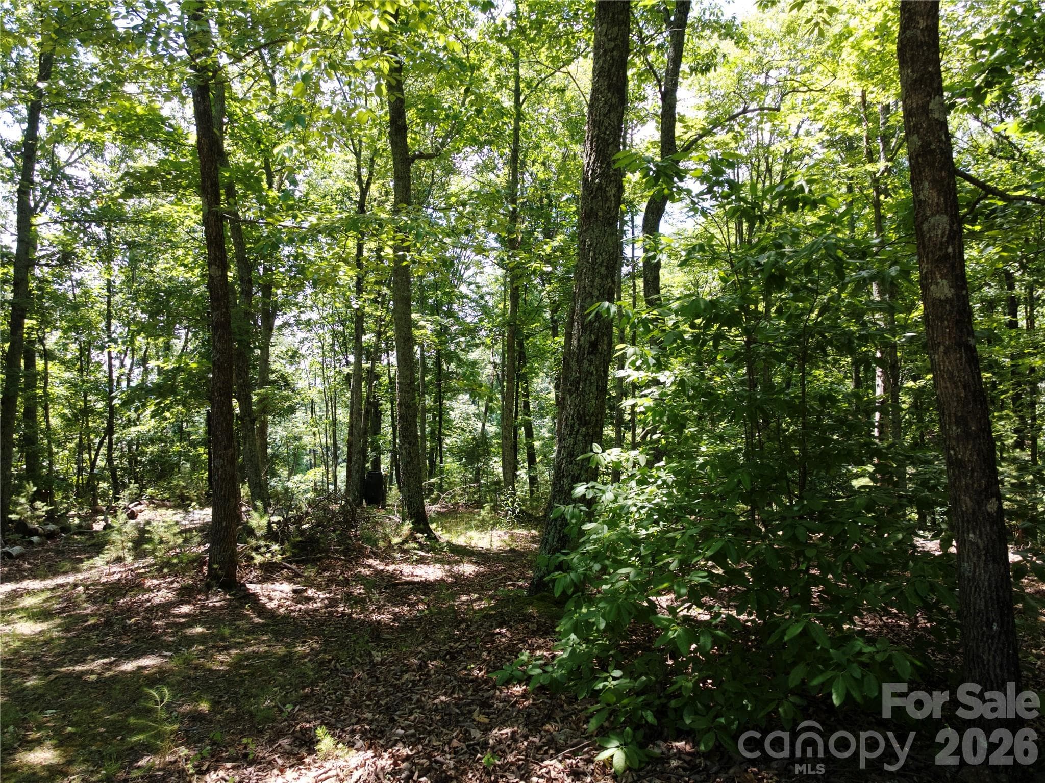 Lot at 118 Upper Ridge Road, Bostic, photo 11 of 13