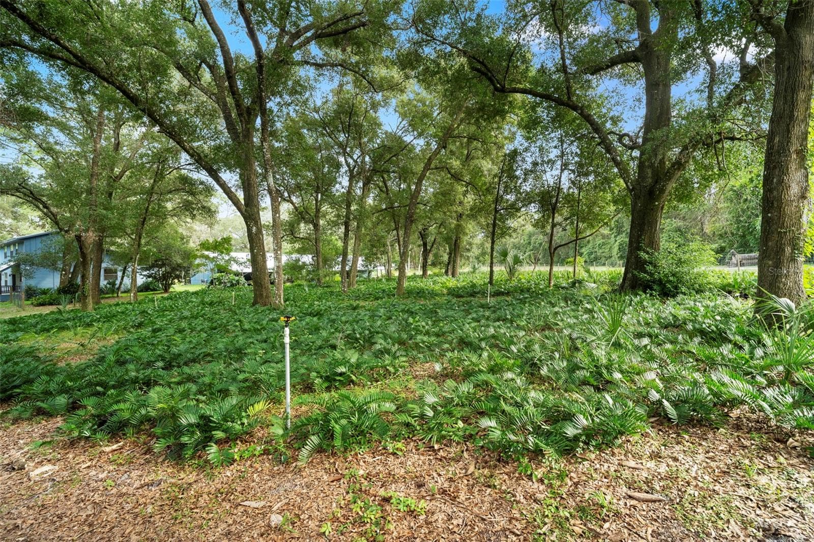 Single Family Residence at 1268 MCGREGOR RD, DELAND, photo 52 of 59
