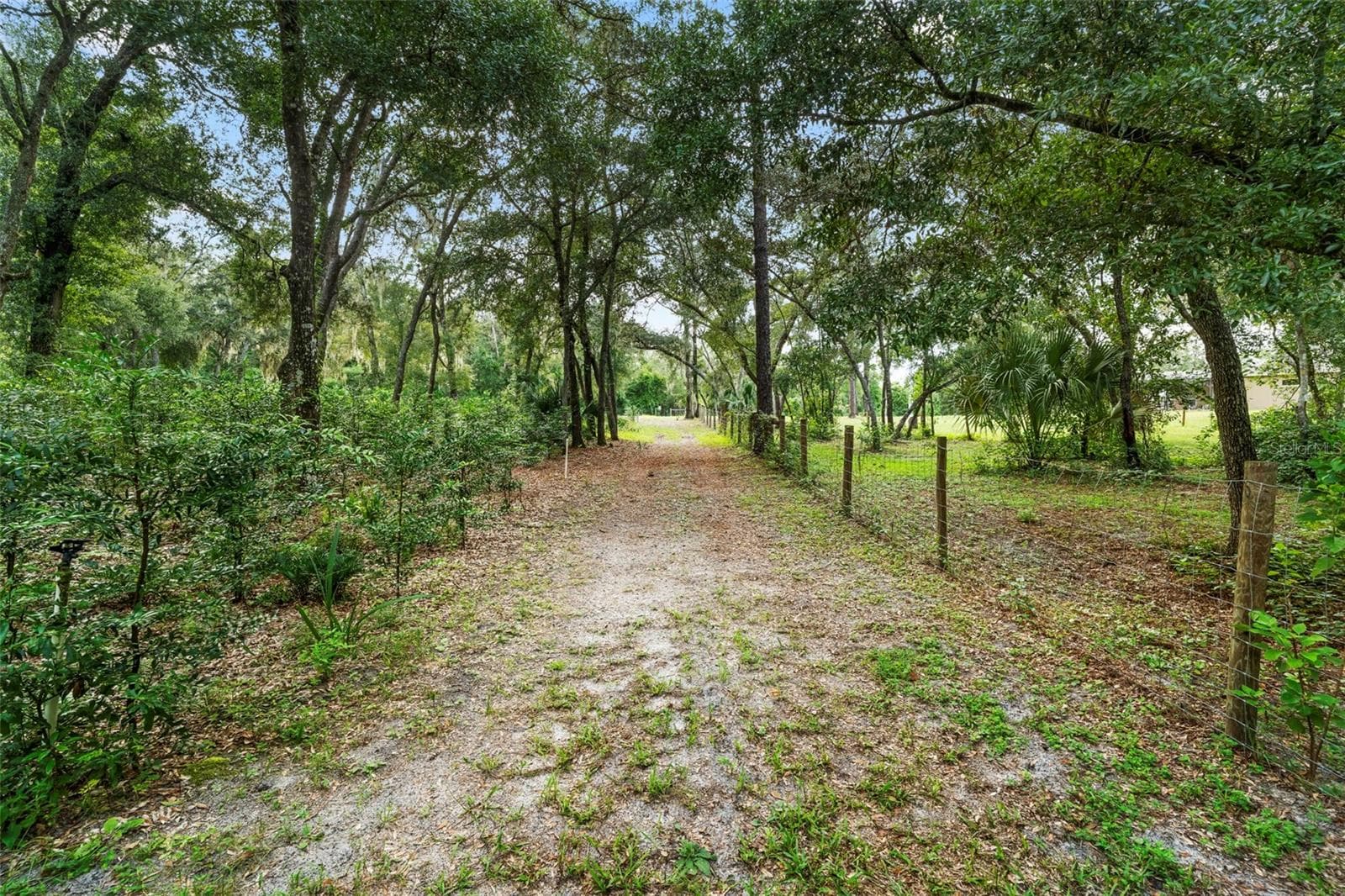 Single Family Residence at 1268 MCGREGOR RD, DELAND, photo 53 of 59