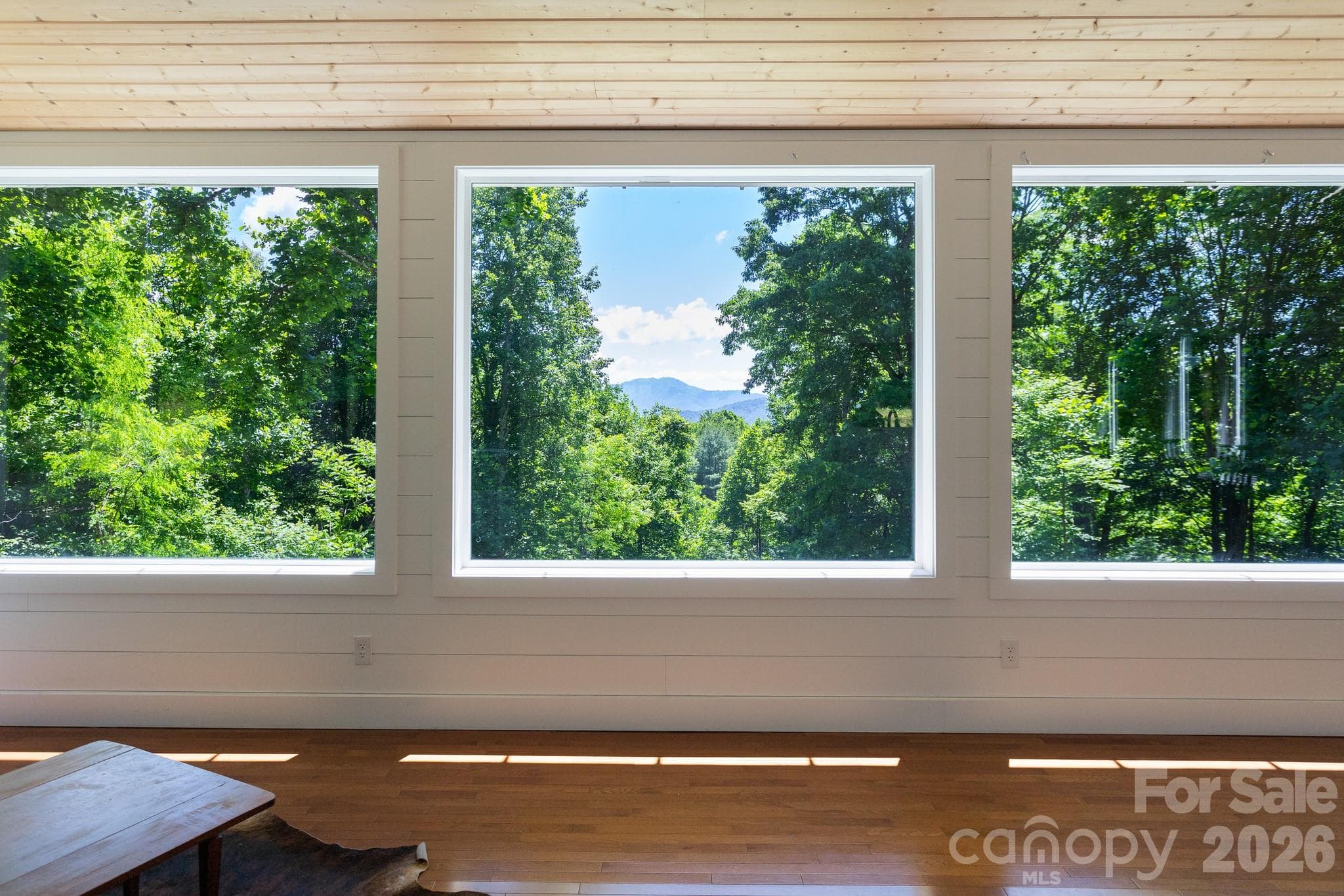 Mountain View from Living Area - Waynesville