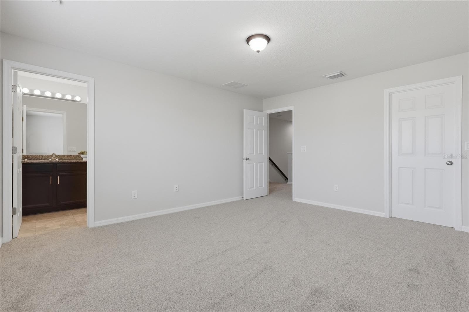 Primary bedroom offering a spacious layout with plush carpet flooring - 7005 GRAND ELM DR, RIVERVIEW
