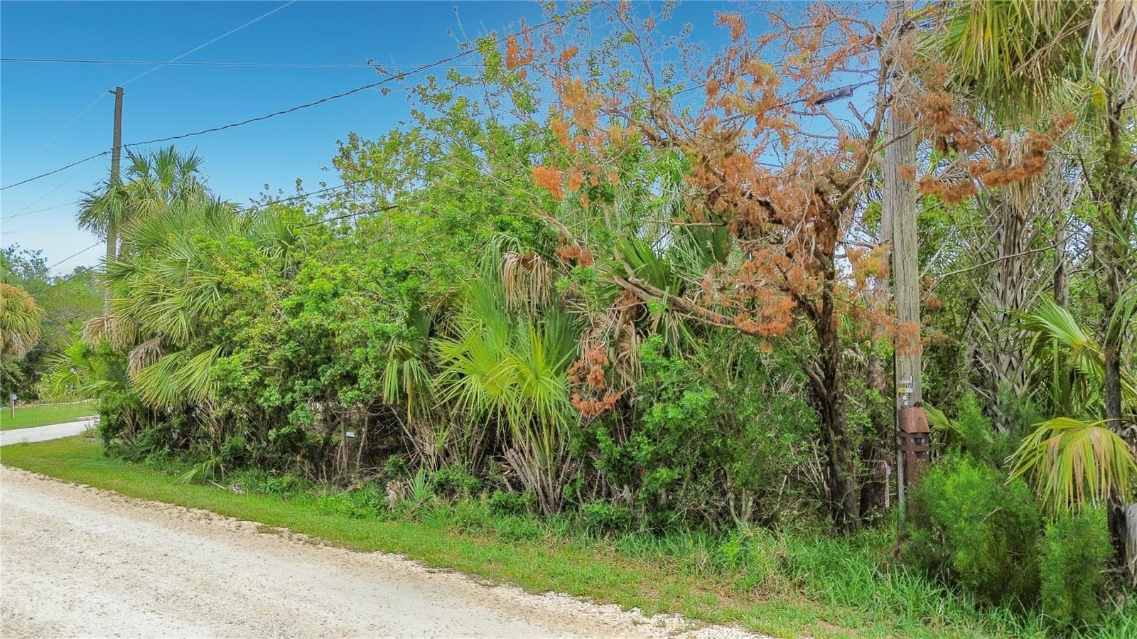 Land at 12073 W GULF BREEZE CT, CRYSTAL RIVER, photo 8 of 25