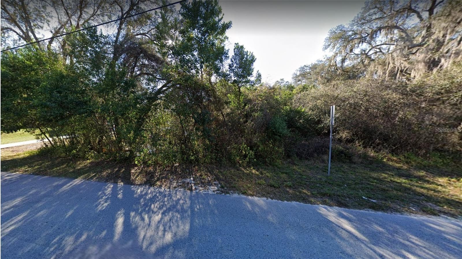 Land at RIDGE MANOR BLVD, DADE CITY, photo 3 of 6