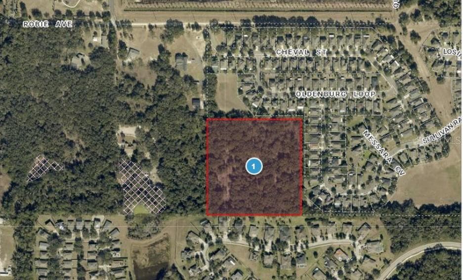 Land at 3016 ROBIE AVE, MOUNT DORA, photo 2 of 4