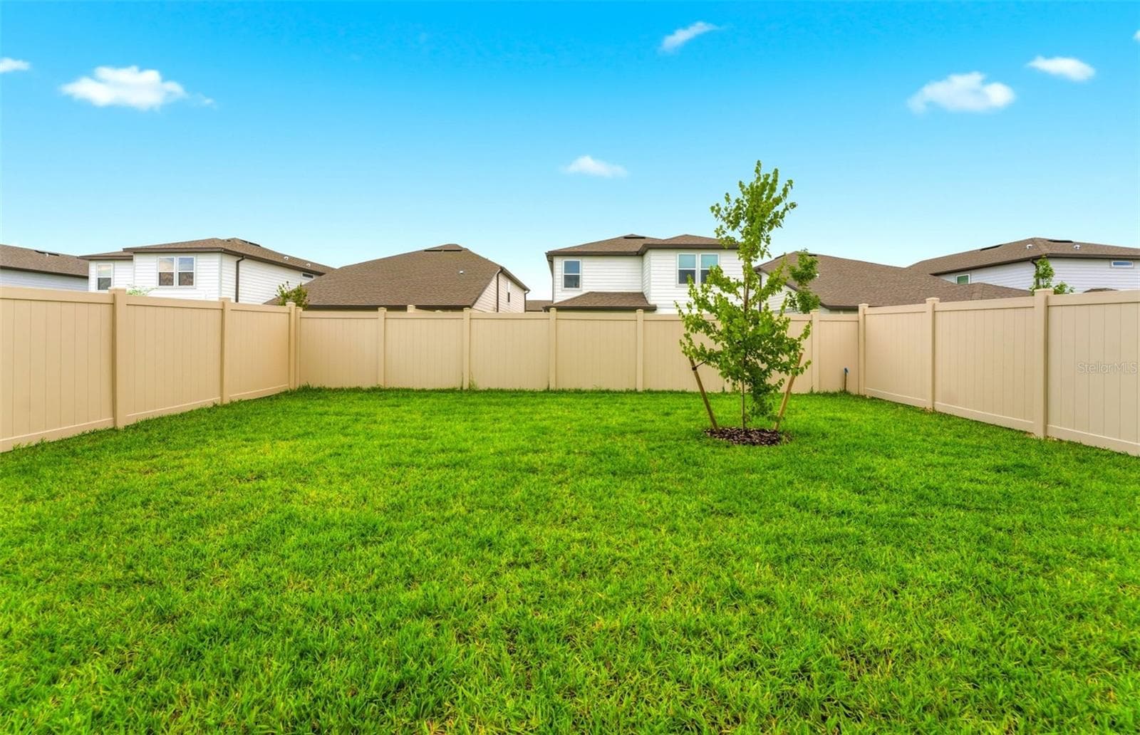 Spacious Backyard - 33426 BARNEBROOK DR, WESLEY CHAPEL