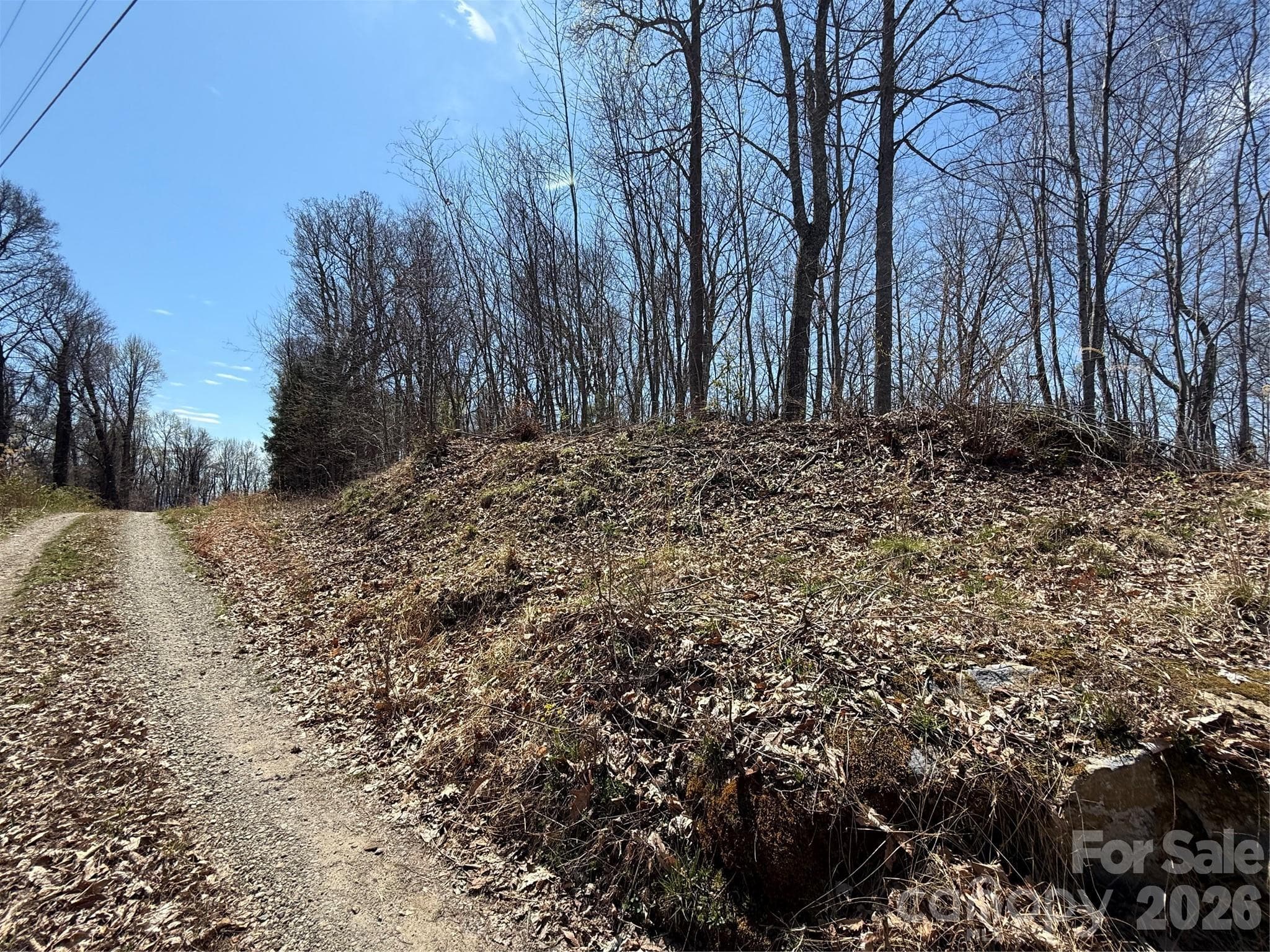 Lot at Mars Hill, photo 2 of 23