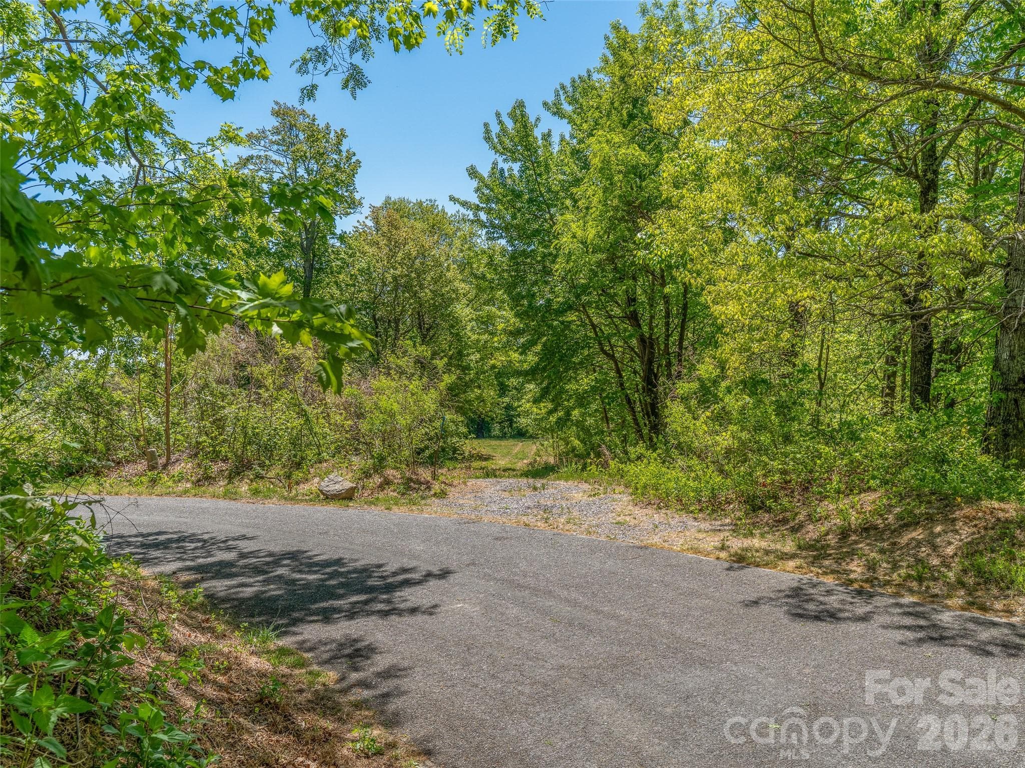 Tucked away at the end of a private cul-de-sac with year-round mountain views. - Black Mountain